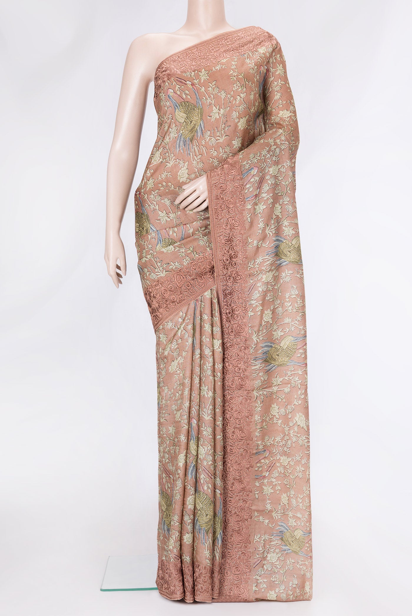 Brown Dual Tone Tussar Silk Saree with Printed design on the body and Embroidery Border.  displayed on a mannequin