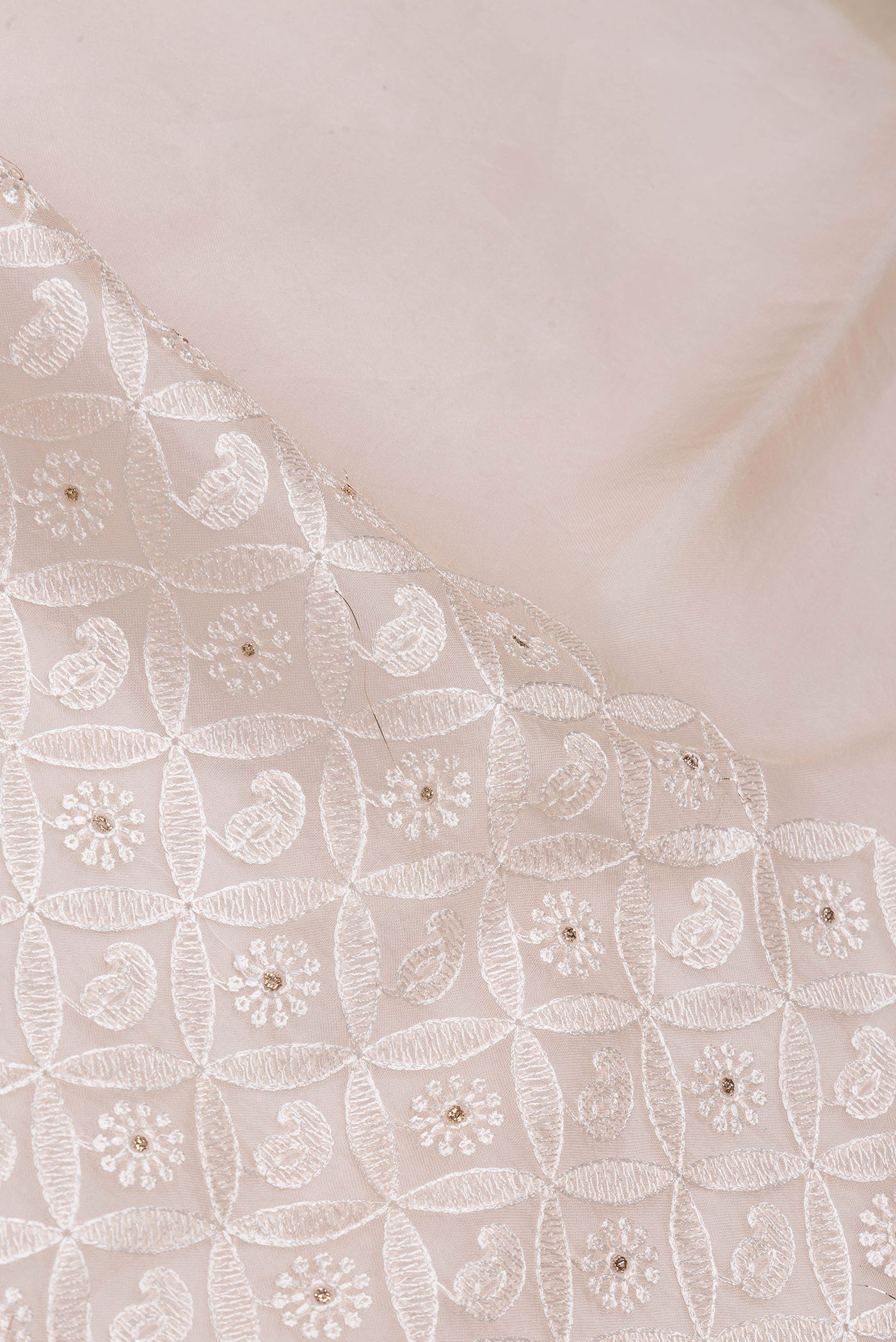 Close up of Golden Peach Dual Tone Organza Silk Saree with Embroidery on the body and Embroidery Border.  displaying folds