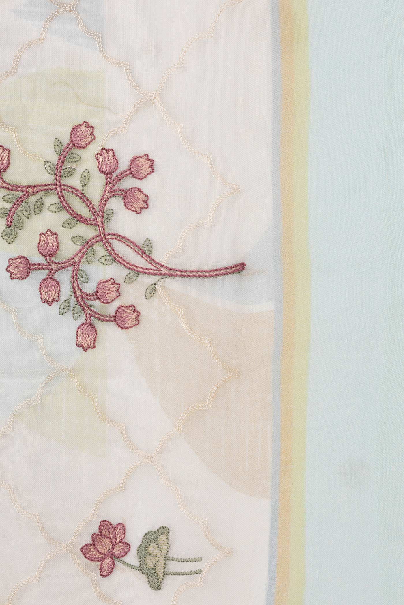 Border image of Beige Dual Tone Organza Silk Saree with Embroidery on the body and Fancy Border