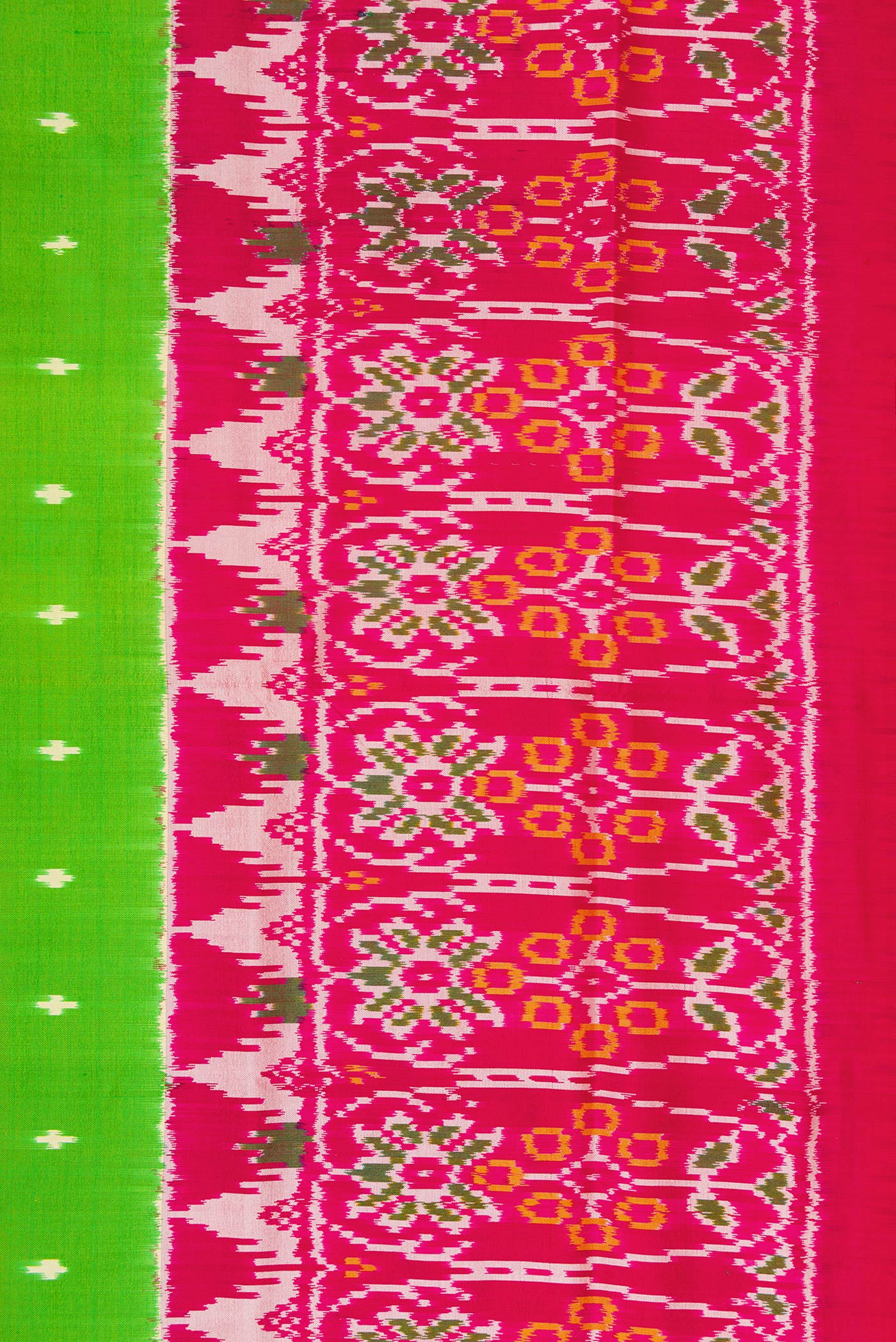 Border image of Parrot Green Dual Tone Double Ikat Saree with Ikat Print on the body and Ikat Border. 