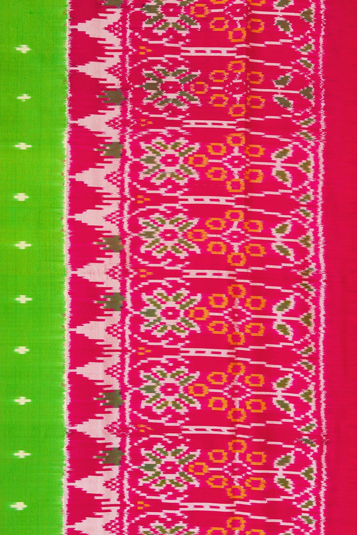 Border image of Parrot Green Dual Tone Double Ikat Saree with Ikat Print on the body and Ikat Border. 