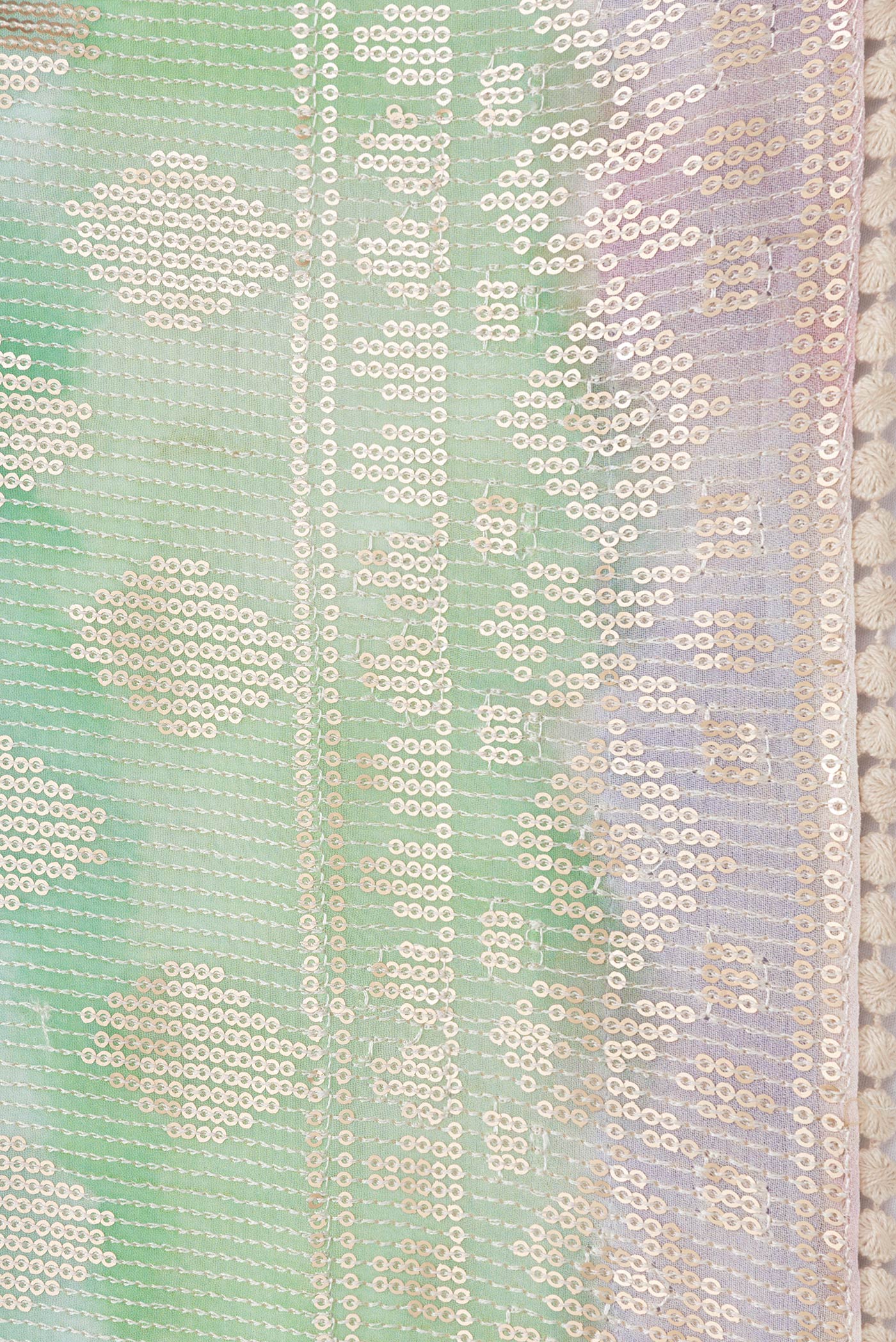 Border image of Off White Dual Tone Georgette Saree with Embroidery on the body and Embroidery Border. 