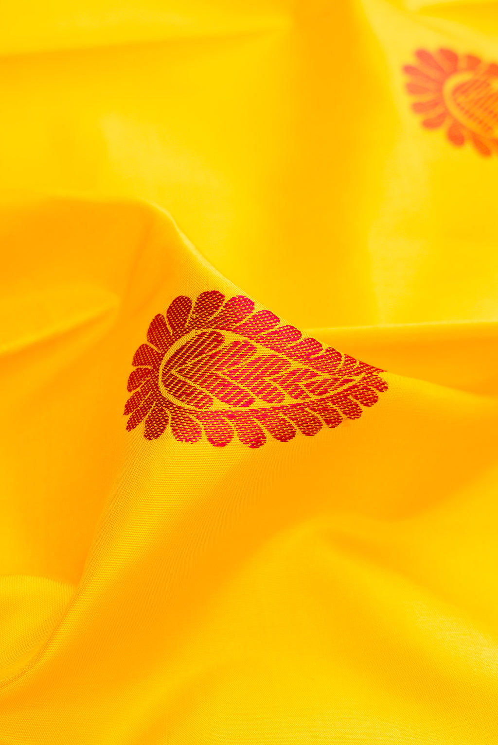 Close up of Yellow Kanchipuram Silk Saree with Thread Butta on the body and Thread Border.  displaying folds