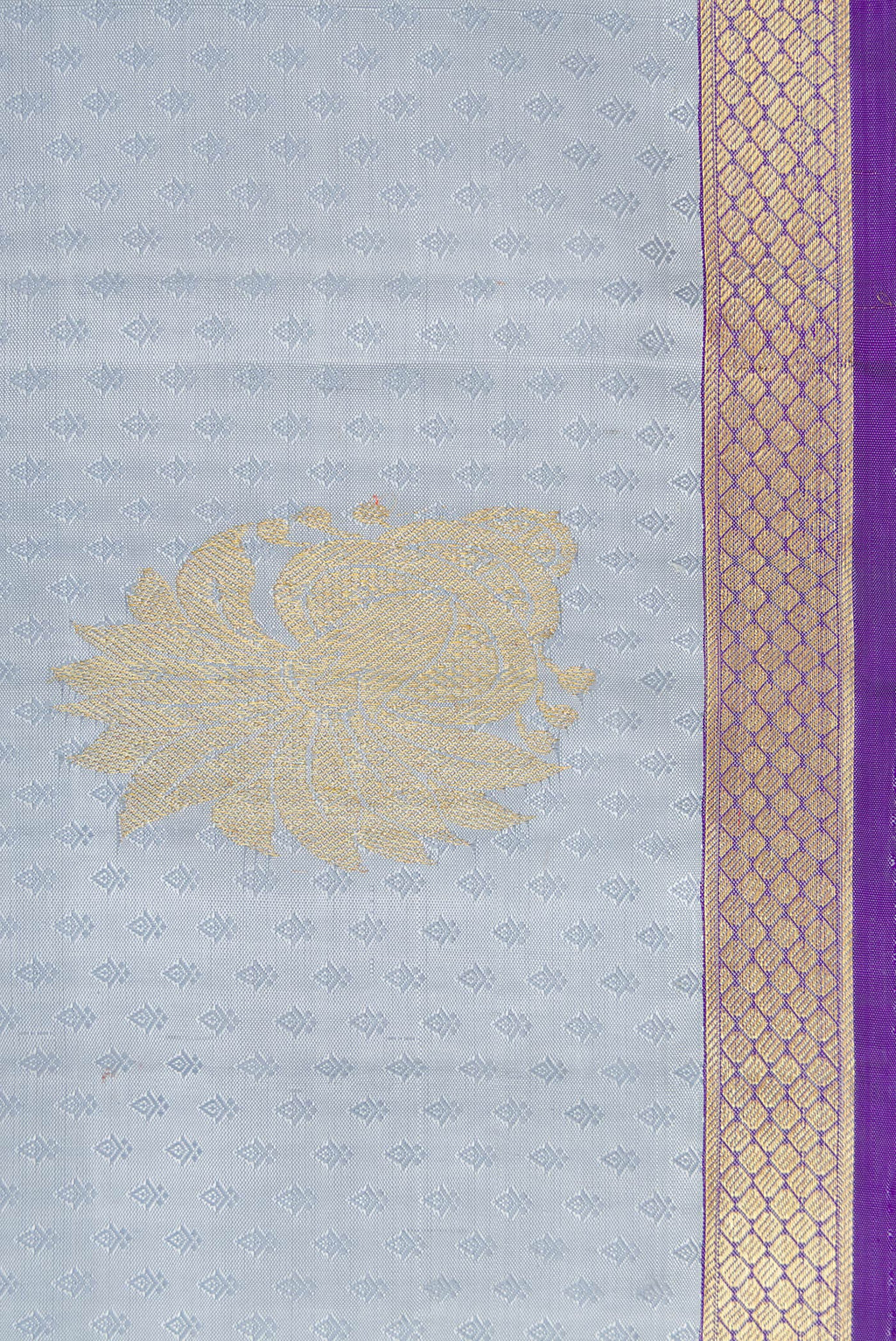 Border image of Pure Silk Pure Zari Grey Dual Tone Kanjivaram Saree with Jacquard With Zari Butta on the body and Zari Border. 