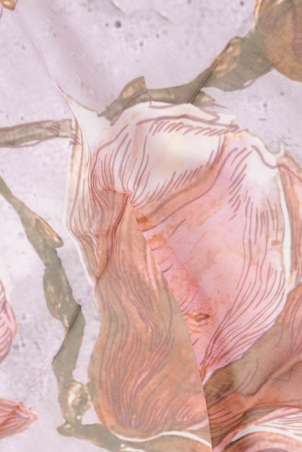 Close up of Pink Dual Tone Mysore Chiffon Saree with Printed design on the body and Zari Border.  displaying folds