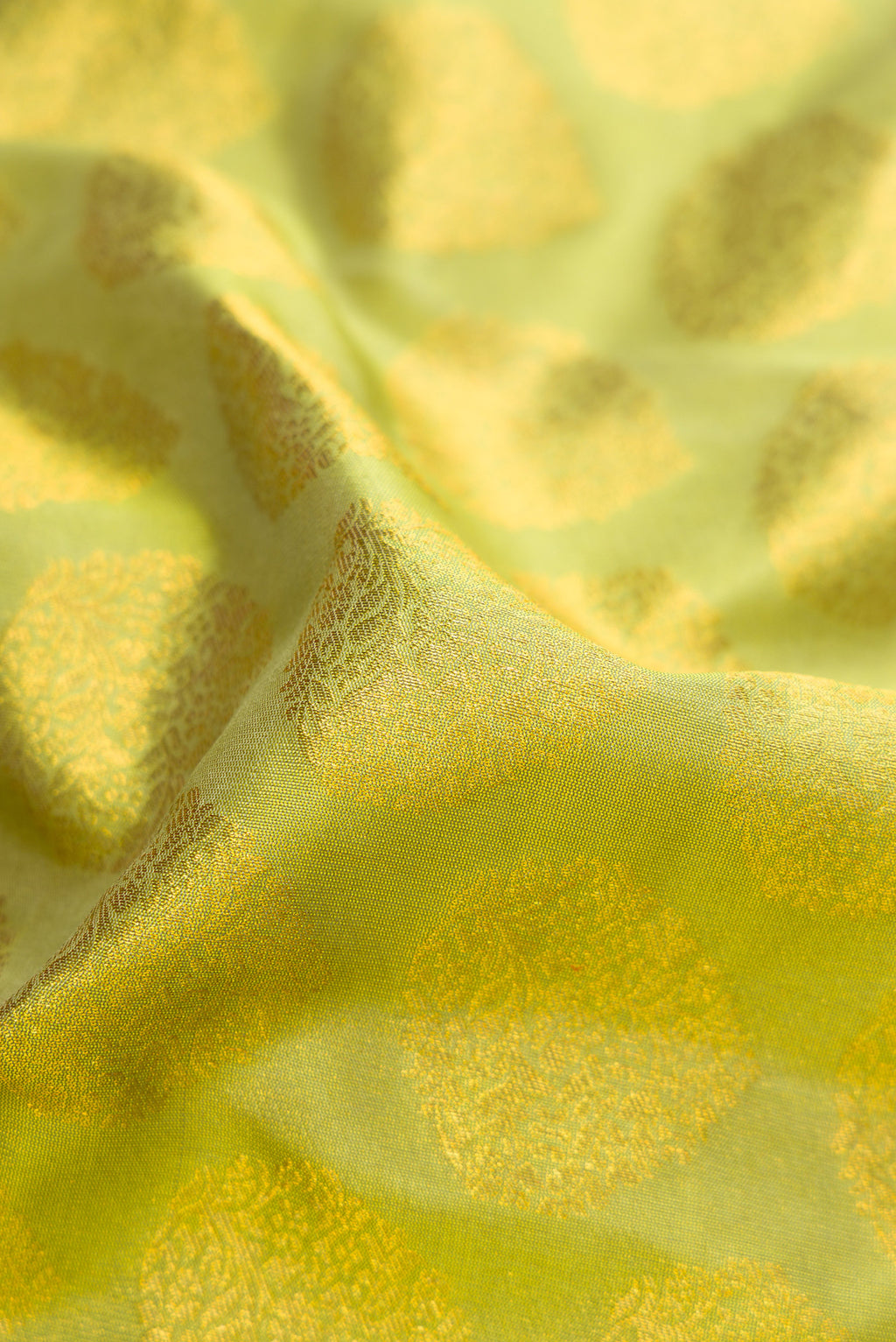 Close up of Parrot Green Dual Tone Kanjivaram Silk Saree with Zari Butta on the body and Zari Border.  displaying folds