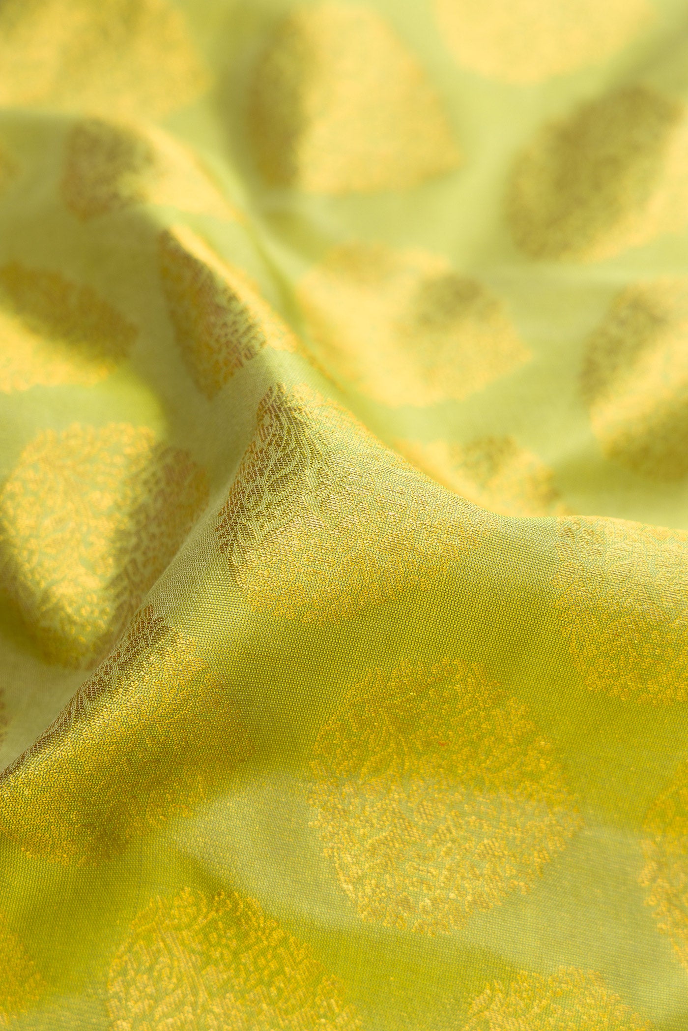 Close up of Parrot Green Dual Tone Kanjivaram Silk Saree with Zari Butta on the body and Zari Border.  displaying folds