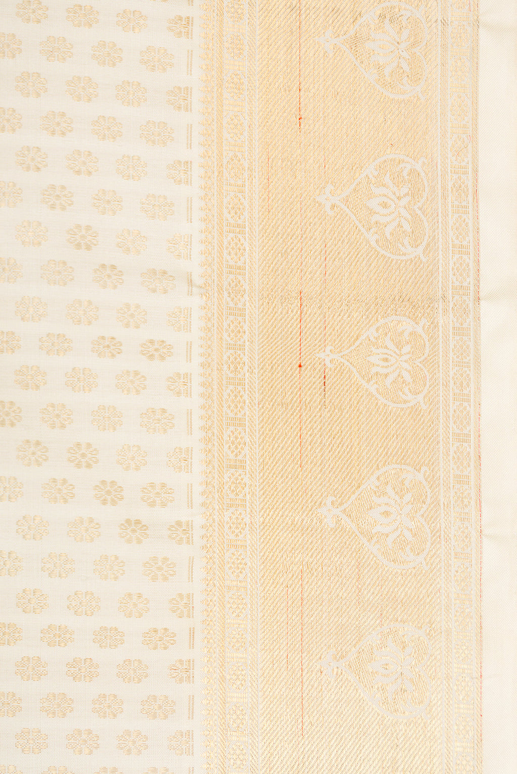 Border image of Pure Silk Pure Zari Off White Dual Tone Kanjivaram Saree with Zari Brocade on the body and Zari Border. 
