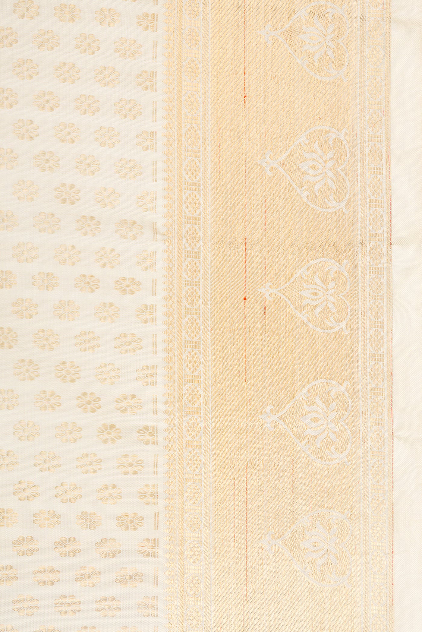 Border image of Pure Silk Pure Zari Off White Dual Tone Kanjivaram Saree with Zari Brocade on the body and Zari Border. 