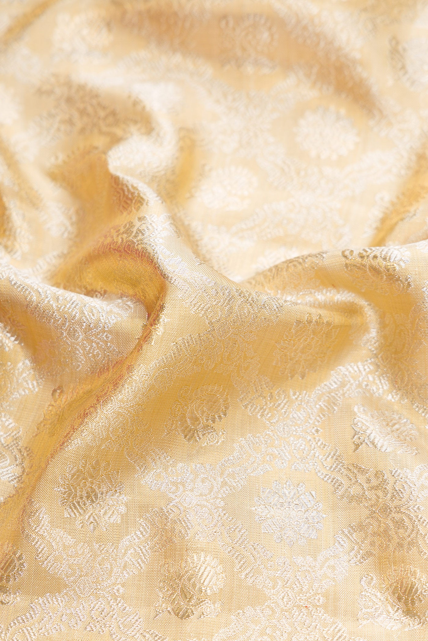 Close up of Gold Dual Tone Kanjivaram Tissue Silk Saree with Zari Brocade on the body and Zari Border.  displaying folds