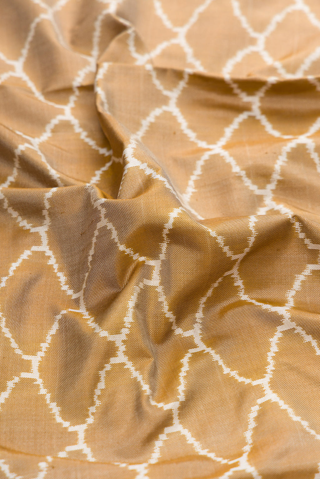 Close up of Dark Beige Dual Tone Double Ikat Saree with Ikat Print on the body and Ikat Border.  displaying folds