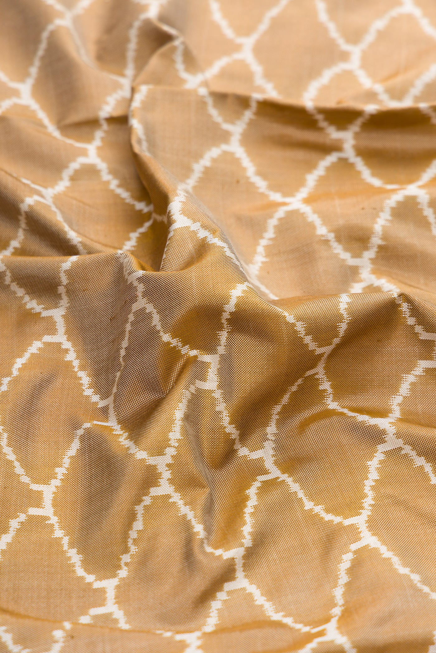 Close up of Dark Beige Dual Tone Double Ikat Saree with Ikat Print on the body and Ikat Border.  displaying folds