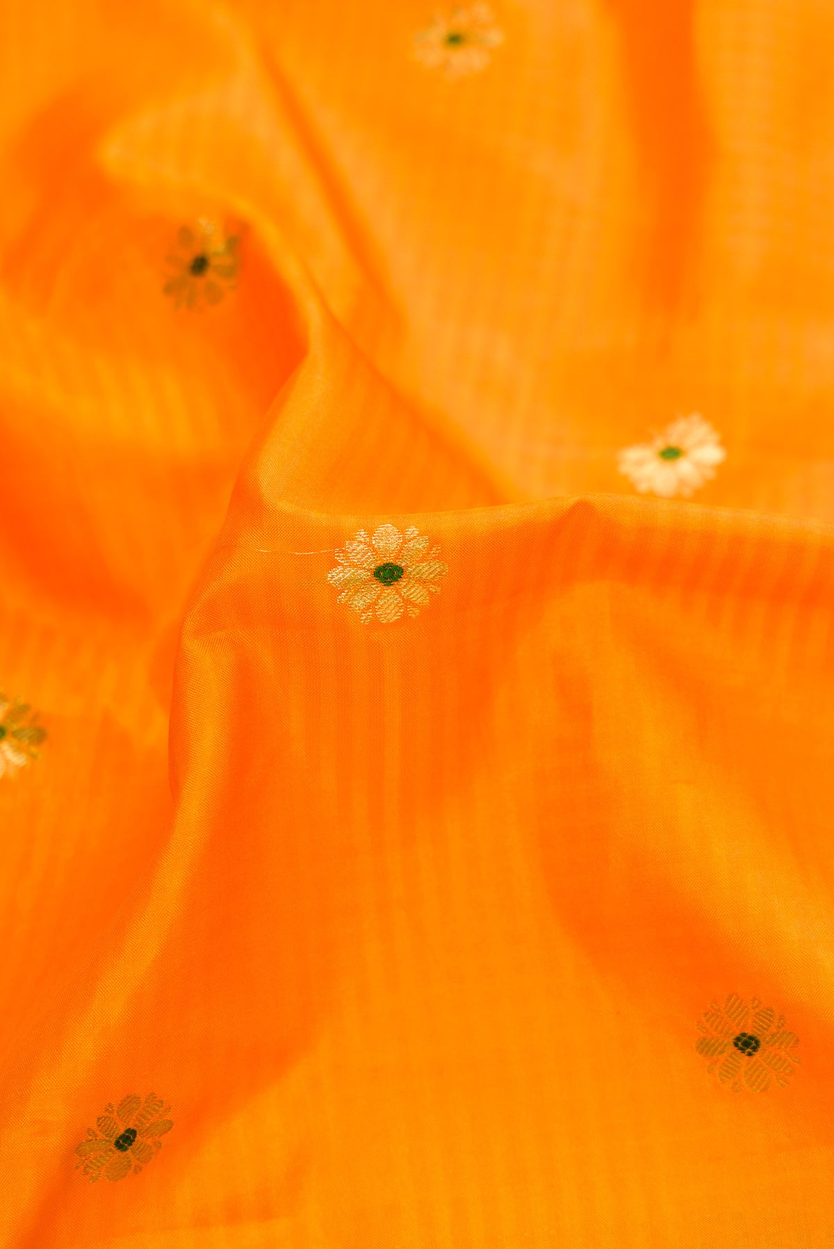 Close up of Mustard Dual Tone Gadwal Silk Saree with Zari And Thread Butta on the body and Zari Border.  displaying folds