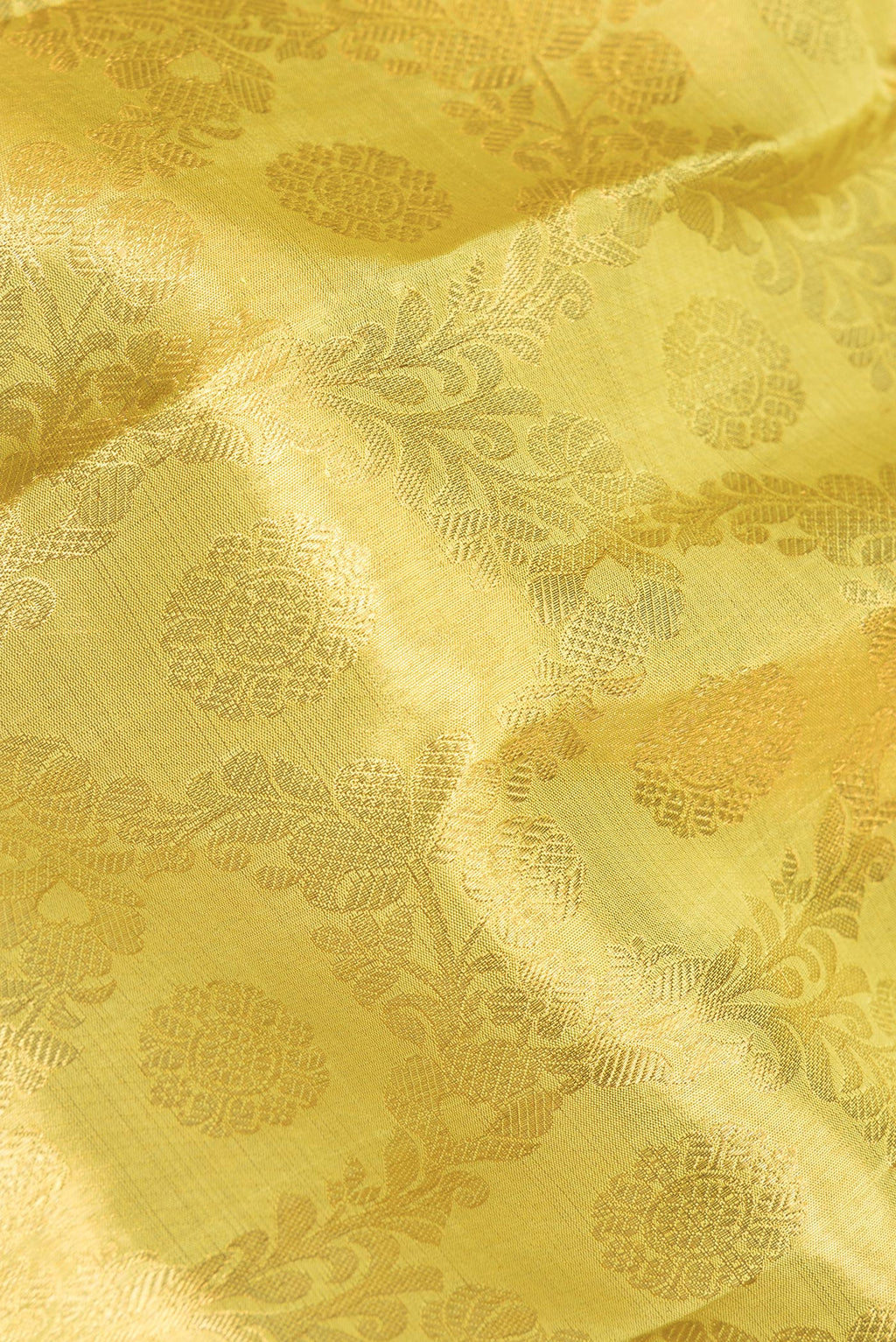 Close up of Gold Kanchipuram Tissue Saree with Zari Brocade on the body and Zari Border.  displaying folds
