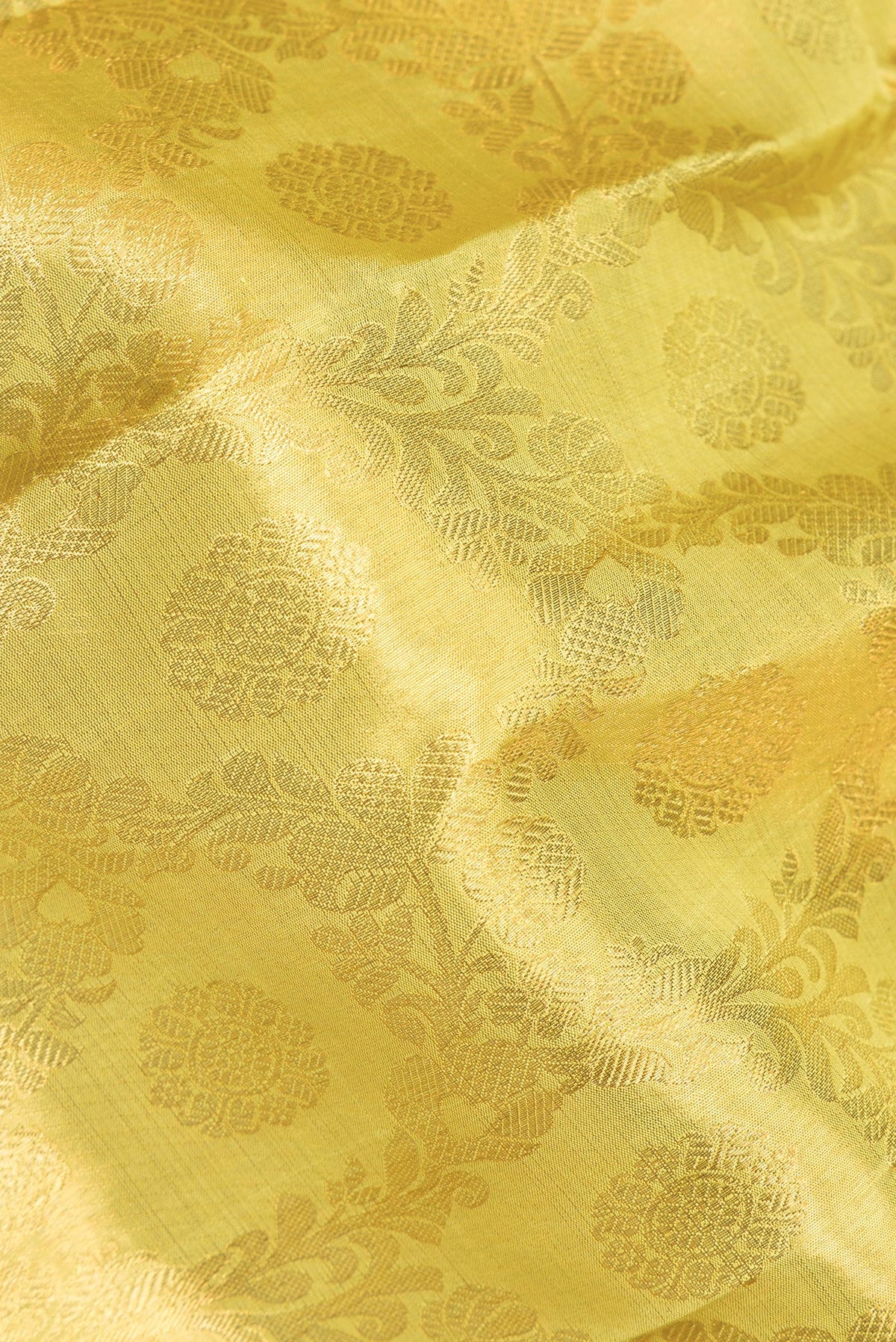 Close up of Gold Kanchipuram Tissue Saree with Zari Brocade on the body and Zari Border.  displaying folds