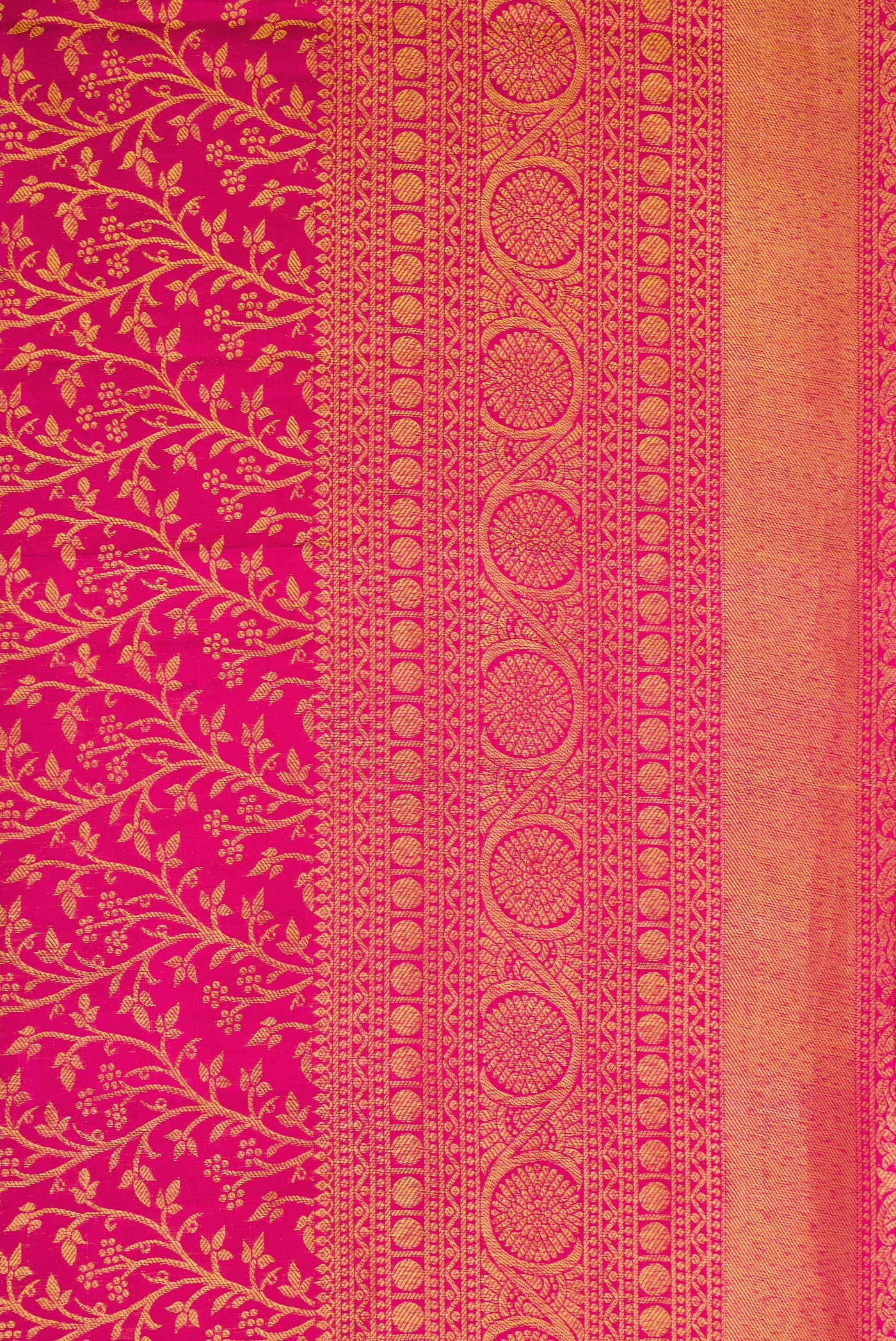 Border image of Magenta Dual Tone Kanchipuram Silk Saree with Zari Brocade on the body and Zari Border. 