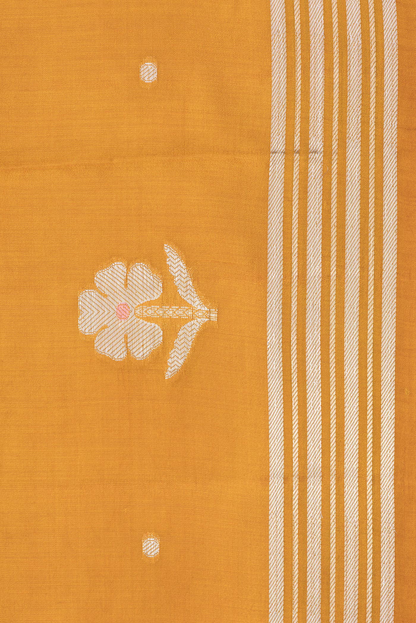 Border image of Mustard Dual Tone Tussar Silk Saree with Zari Butta on the body and Zari Border. 