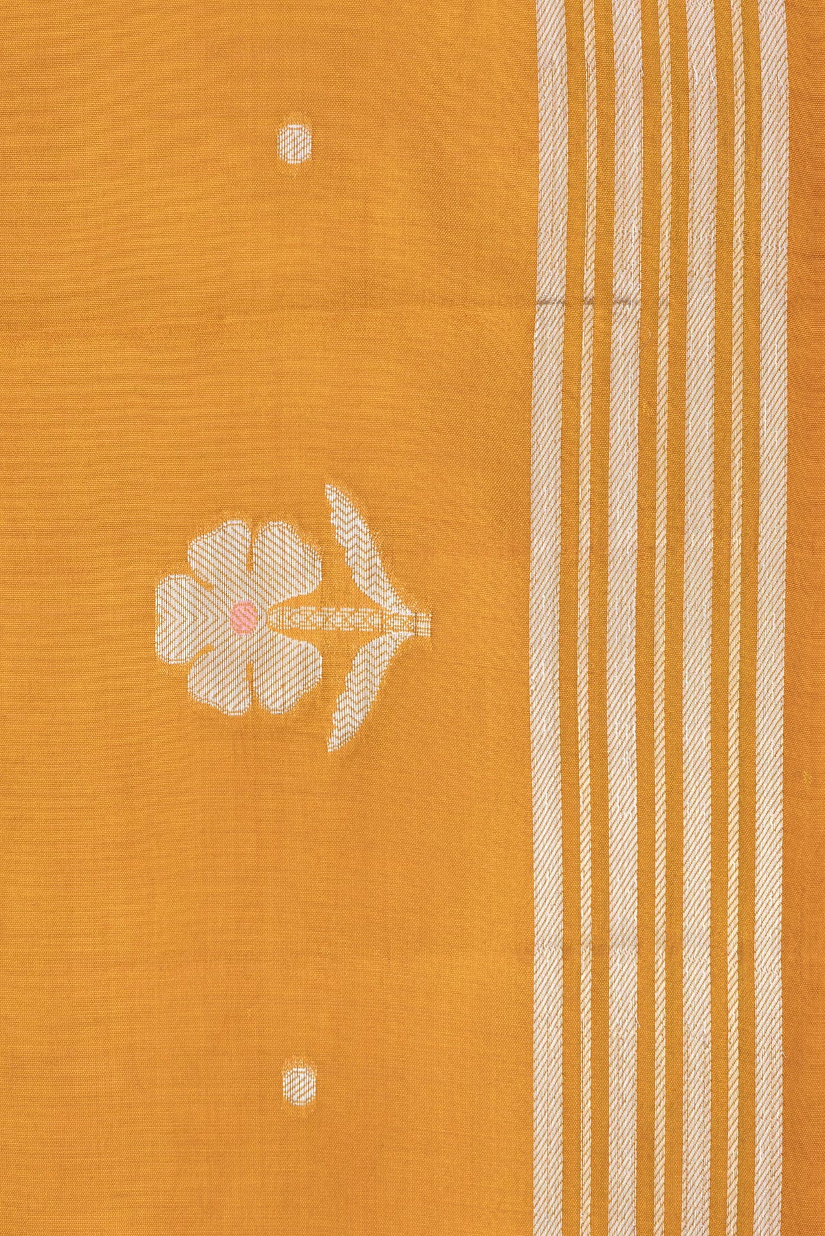 Border image of Mustard Dual Tone Tussar Silk Saree with Zari Butta on the body and Zari Border. 