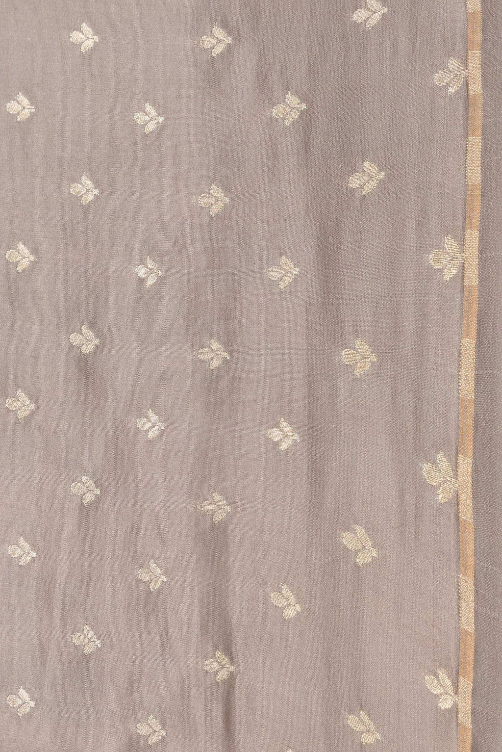 Border image of Grey Dual Tone Tussar Silk Saree with Printed design on the body and Zari Border. 