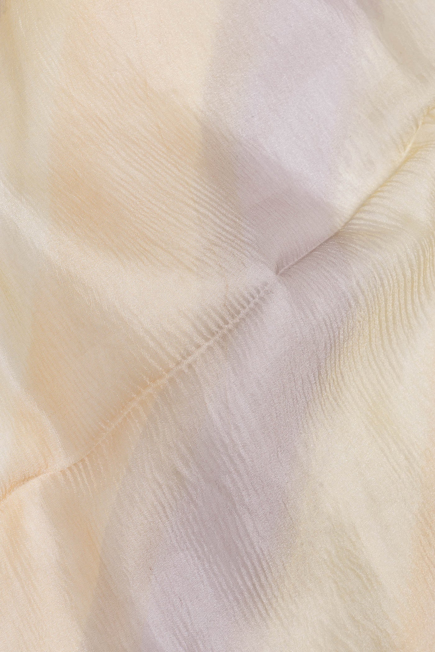 Close up of Sandal Dual Tone Organza Silk Saree with Zari Brocade on the body and Embroidery Border.  displaying folds