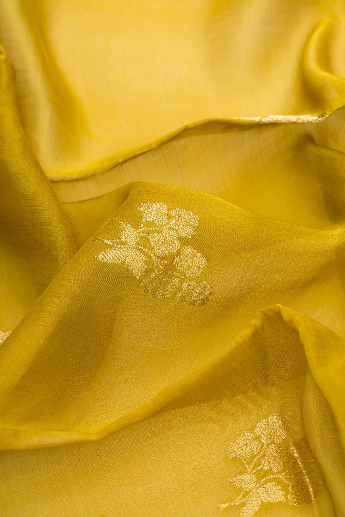 Close up of Mehandi Green Dual Tone Organza Silk Saree with Zari Butta on the body and Zari Border.  displaying folds