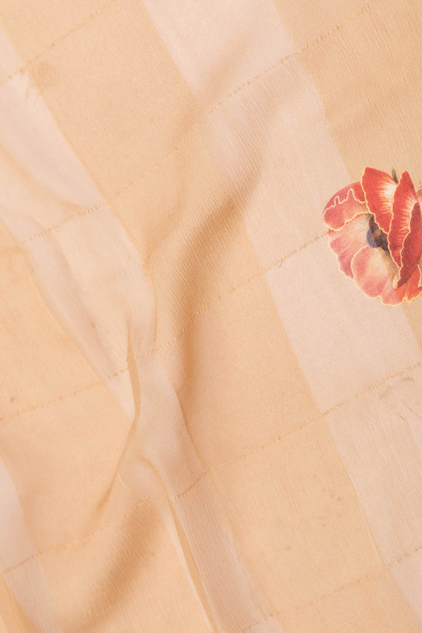 Close up of Sandal Dual Tone Georgette Saree with Printed design on the body and Plain Border displaying folds