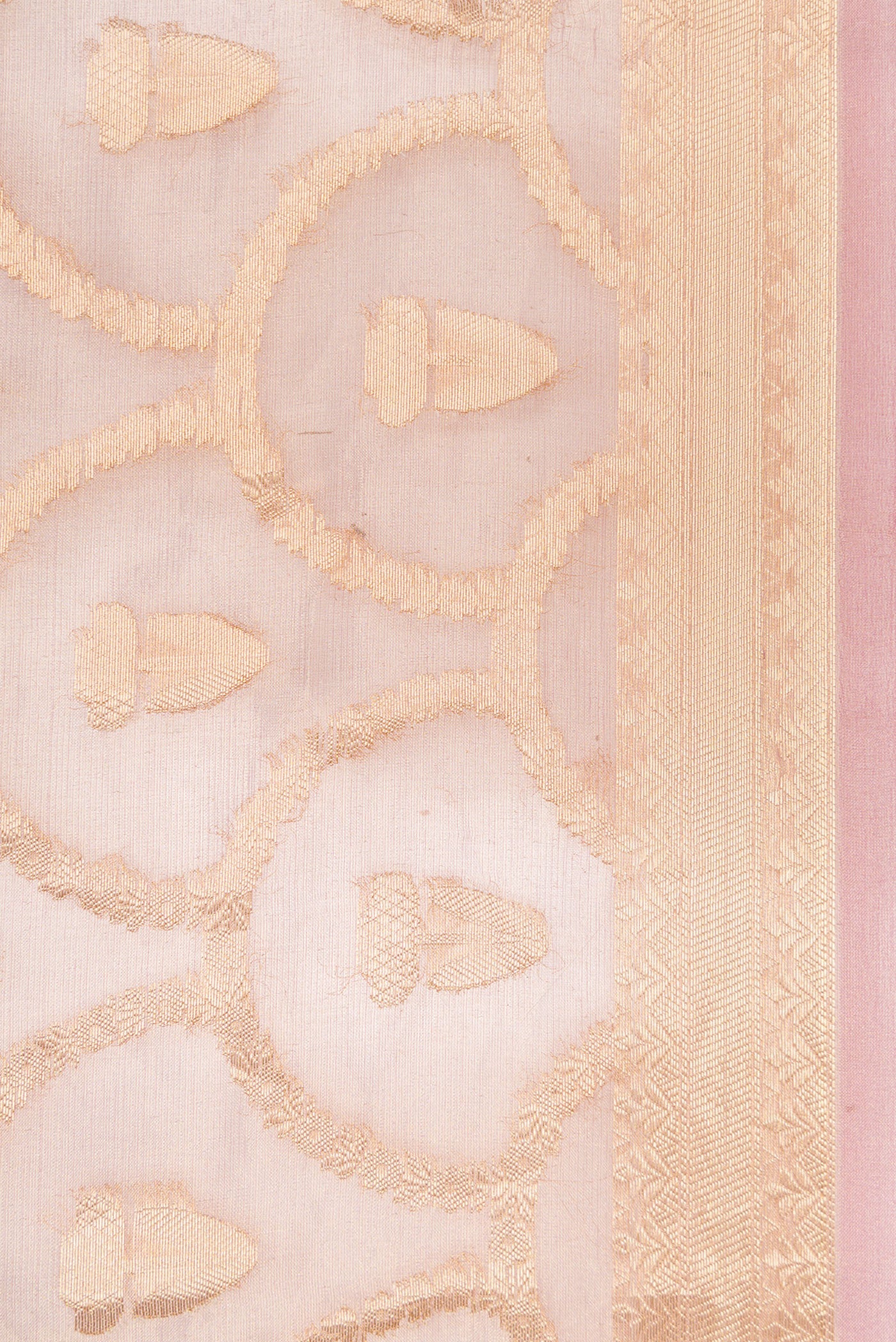 Border image of Pink Dual Tone Organza Silk Saree with Zari Brocade on the body and Zari Border. 