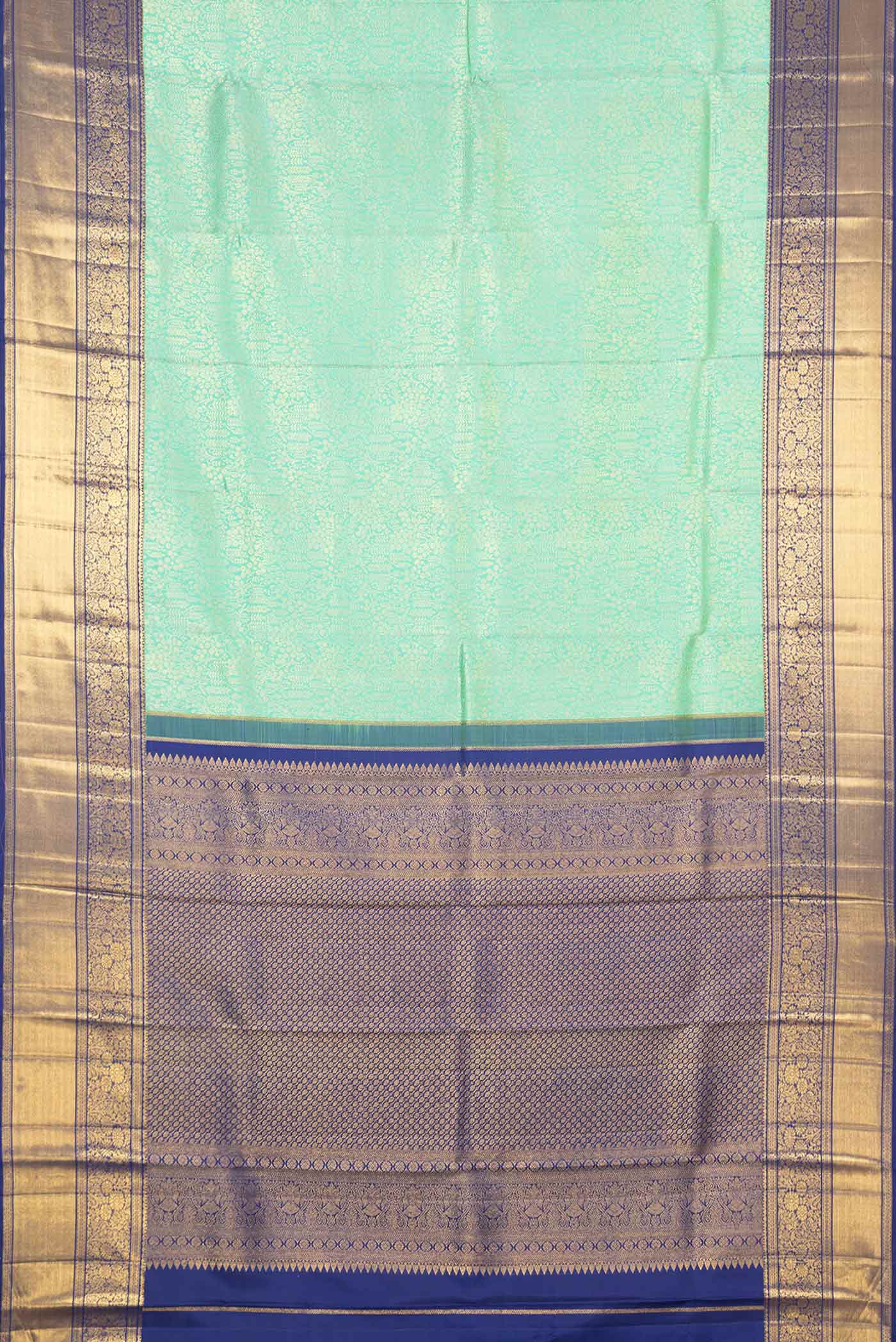 pallu body