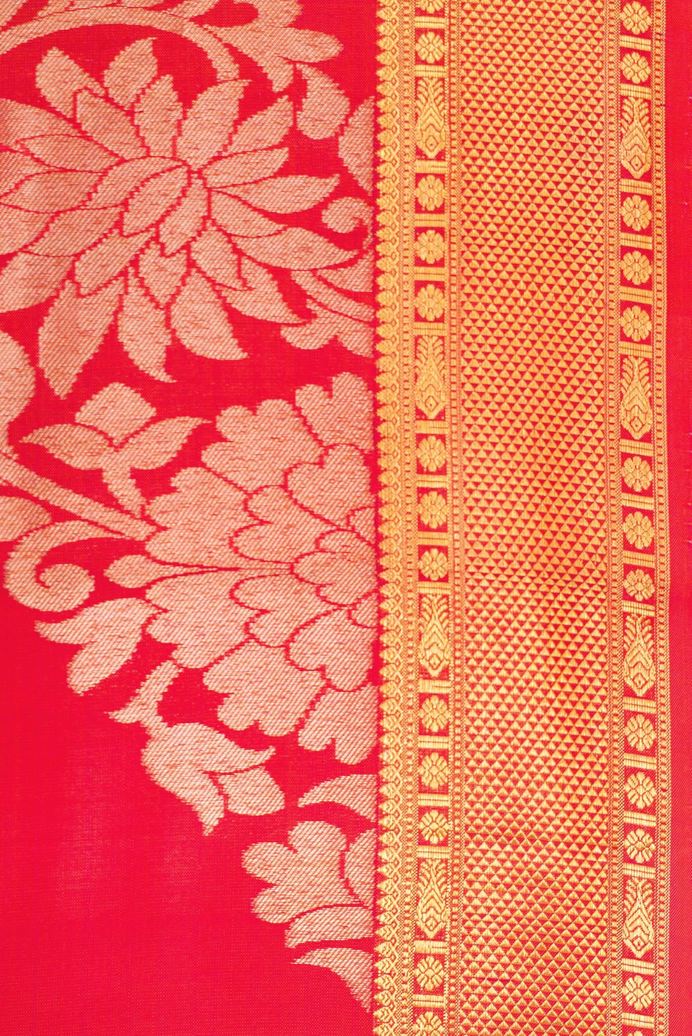 Border image of Coral Dual Tone Kanchipuram Silk Saree with Zari Brocade on the body and Zari Border. 