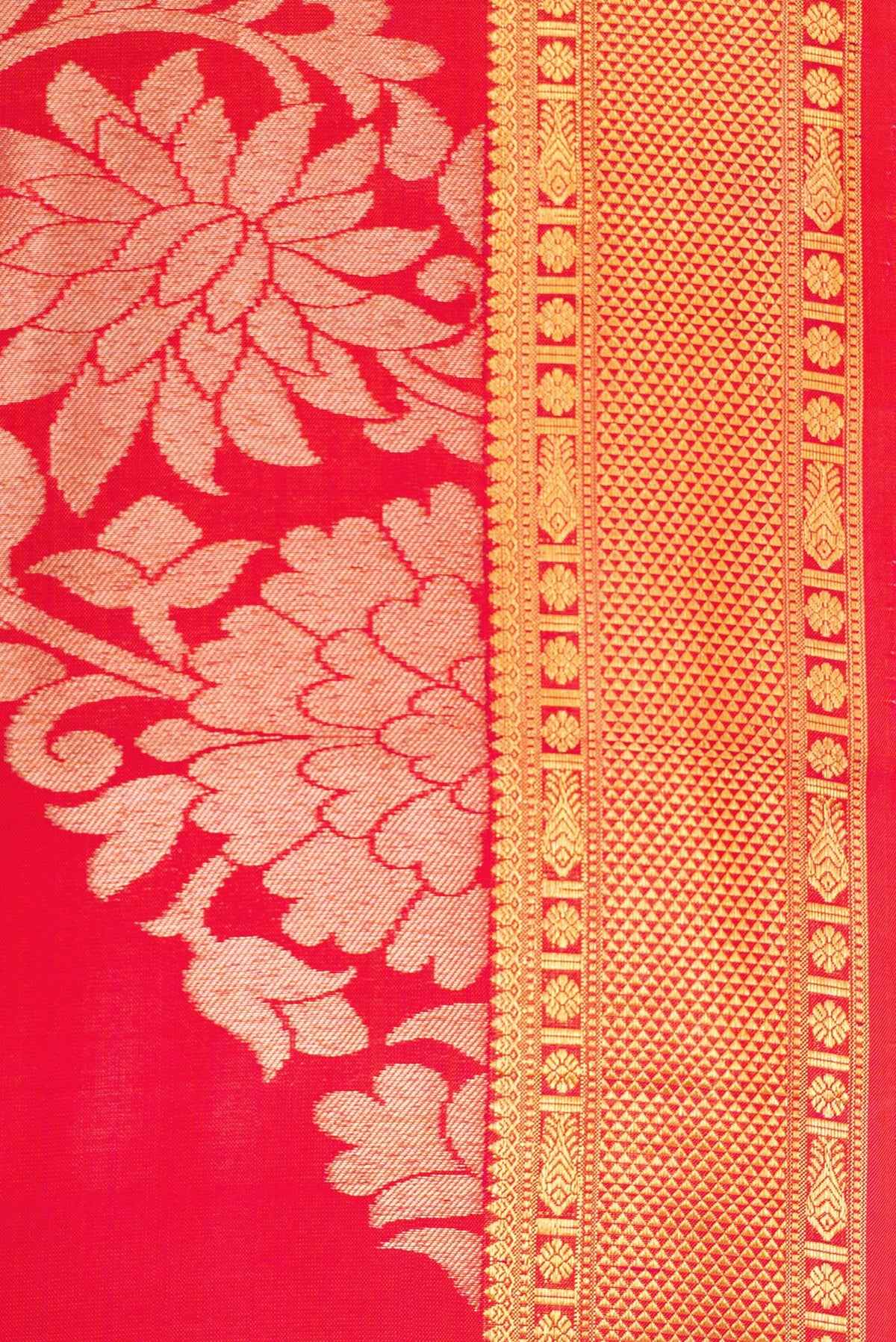 Border image of Coral Dual Tone Kanchipuram Silk Saree with Zari Brocade on the body and Zari Border. 