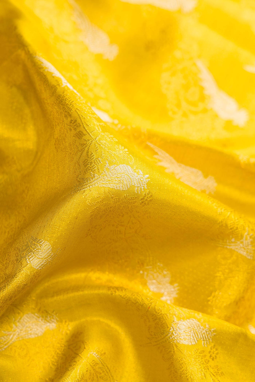 Close up of Green Dual Tone Kanchipuram Tissue Silk Saree with Zari Brocade on the body and Zari Border.  displaying folds