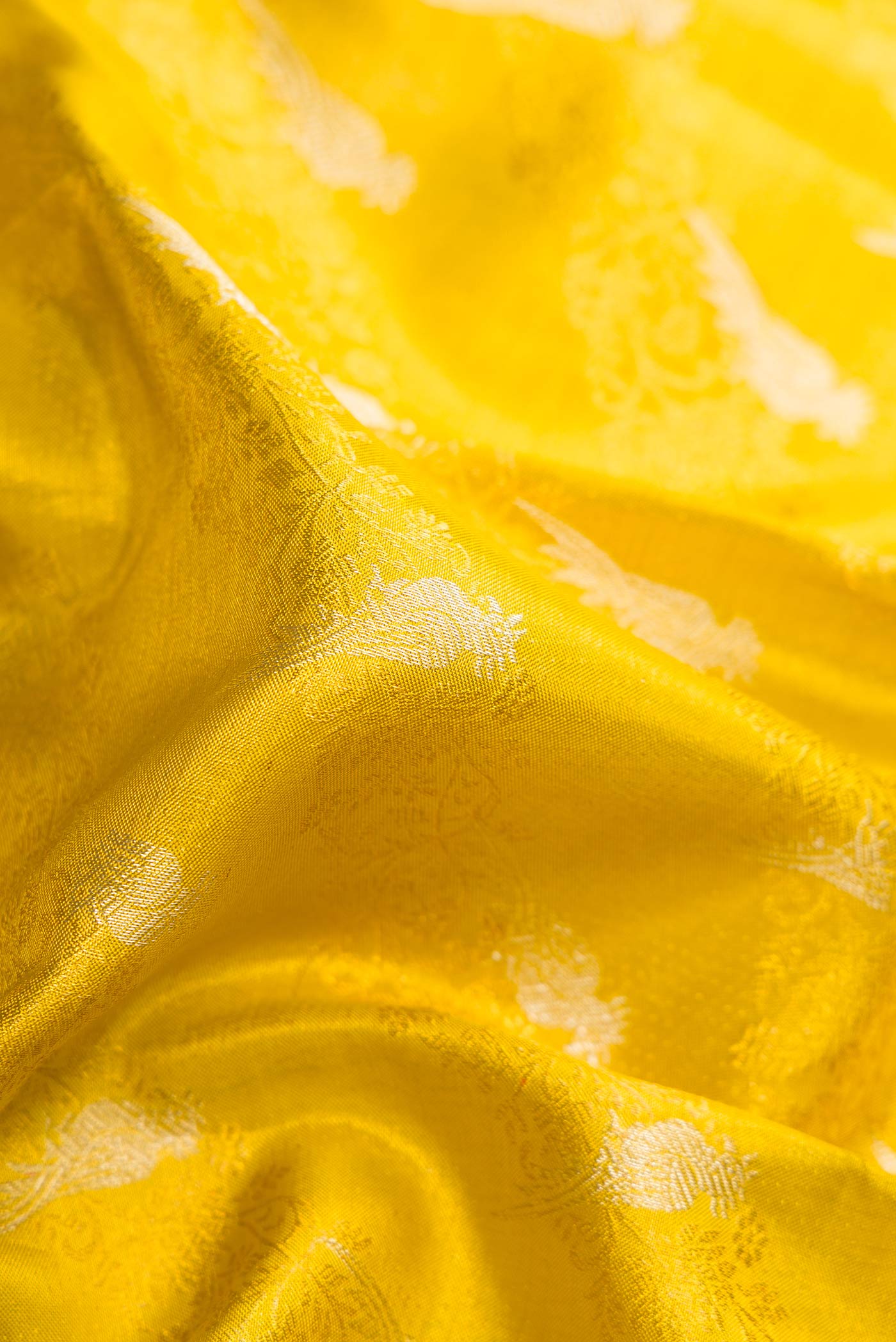 Close up of Green Dual Tone Kanchipuram Tissue Silk Saree with Zari Brocade on the body and Zari Border.  displaying folds