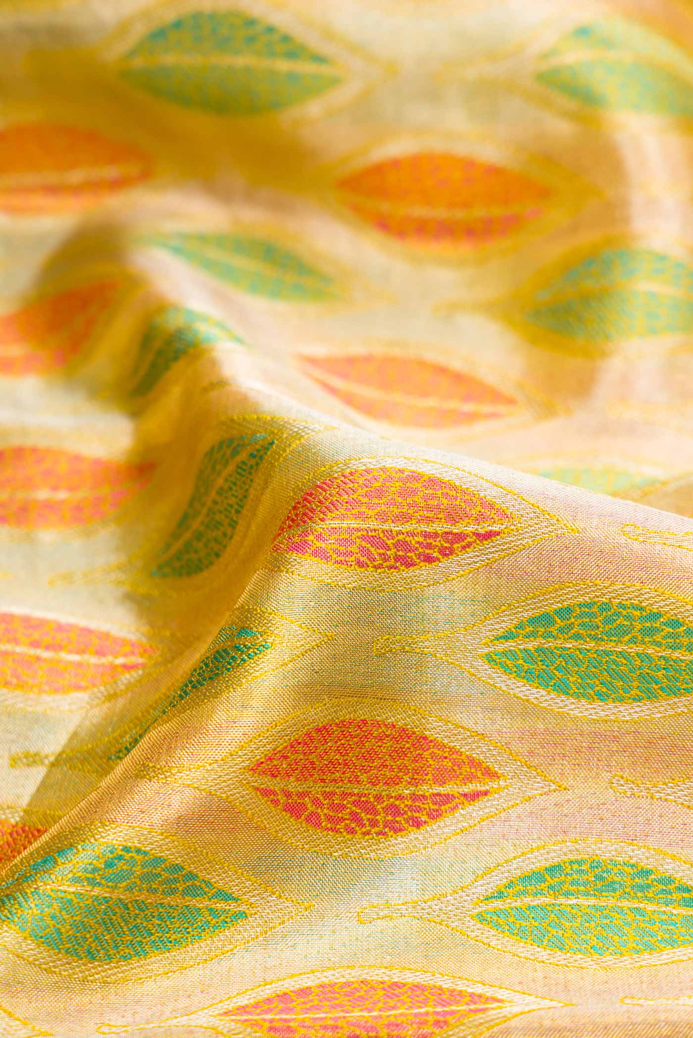 Close up of Gold Dual Tone Kanchipuram Tissue Silk Saree with Zari Brocade on the body and Zari Border.  displaying folds