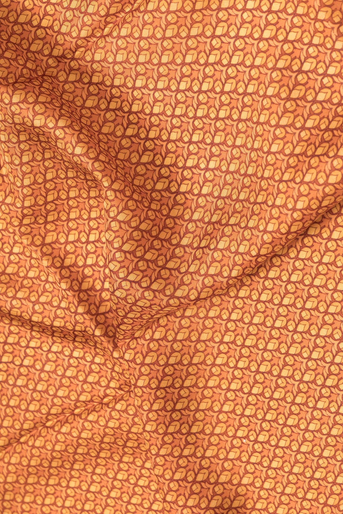 Close up of Peach Dual Tone Printed Silk Saree with Printed design on the body and Printed Border.  displaying folds