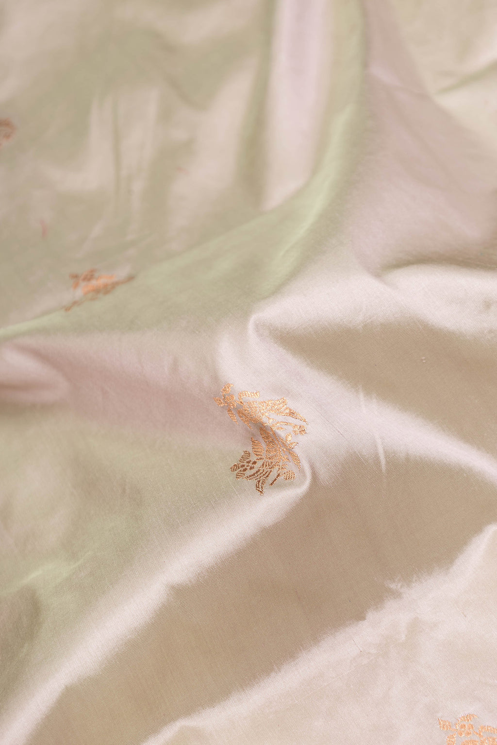 Close up of Beige Dual Tone Banarasi Silk Saree with Zari Butta on the body and Zari Border.  displaying folds
