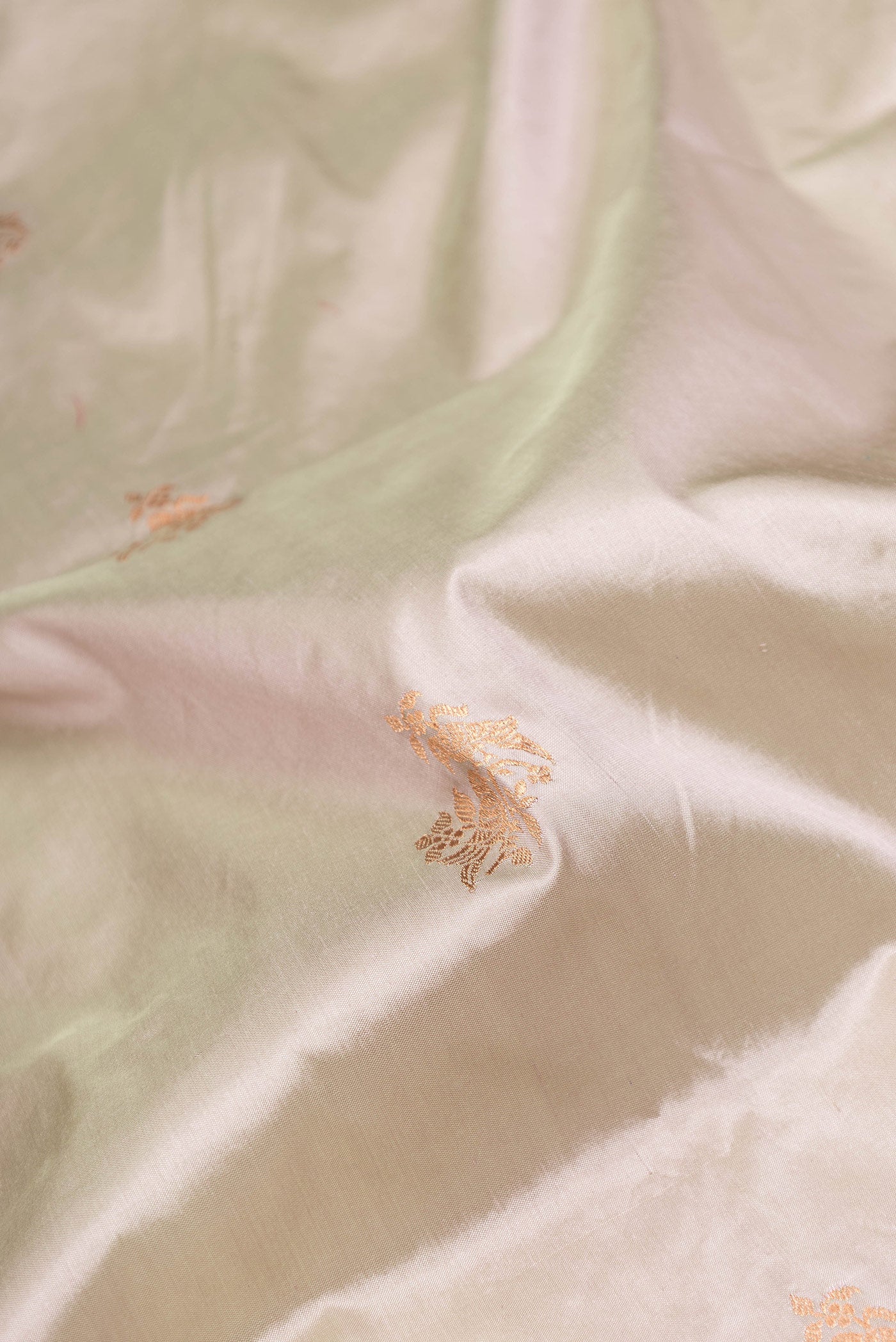 Close up of Beige Dual Tone Banarasi Silk Saree with Zari Butta on the body and Zari Border.  displaying folds