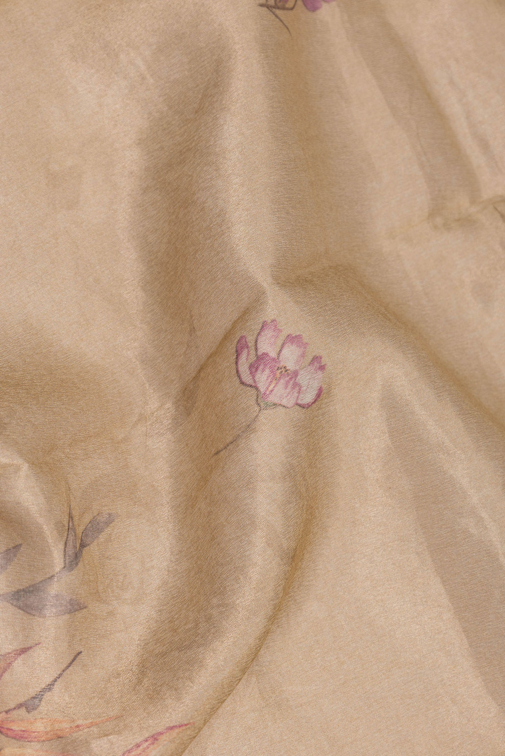 Close up of Beige Dual Tone Organza Silk Saree with Printed design on the body and Zari Border.  displaying folds