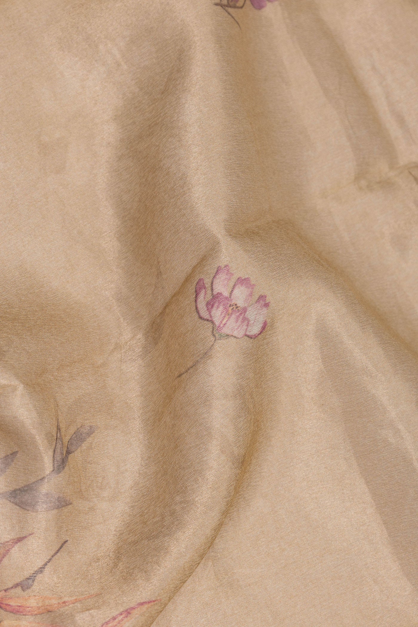 Close up of Beige Dual Tone Organza Silk Saree with Printed design on the body and Zari Border.  displaying folds