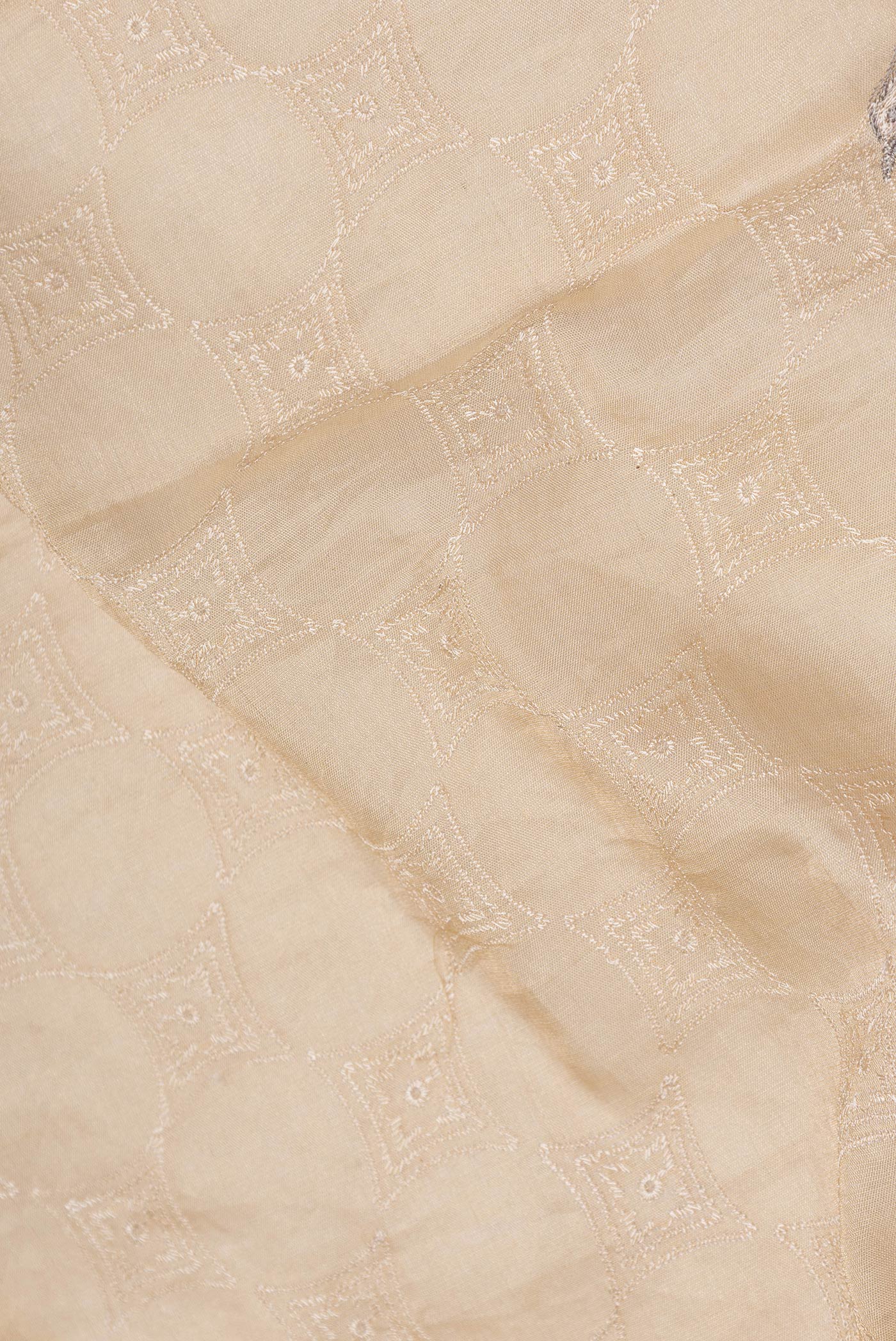 Close up of Beige Dual Tone Organza Silk Saree with Embroidery on the body and Embroidery Border.  displaying folds