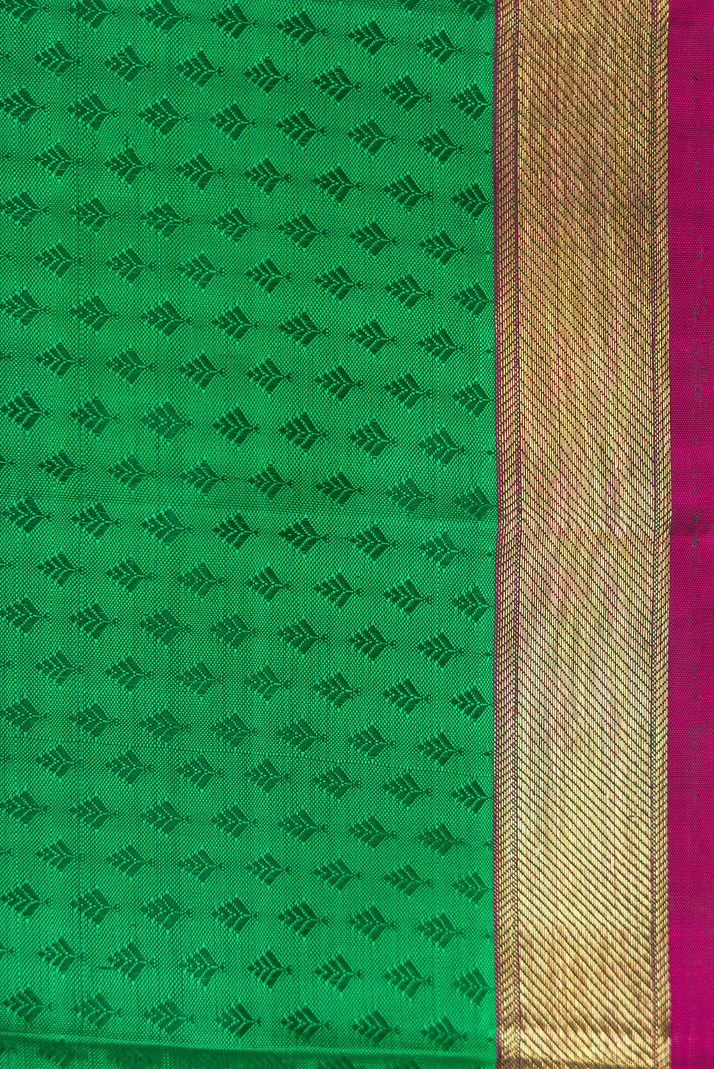 Border image of Green Dual Tone Kanchipuram Silk Saree with Jacquard design on the body and Zari Border. 