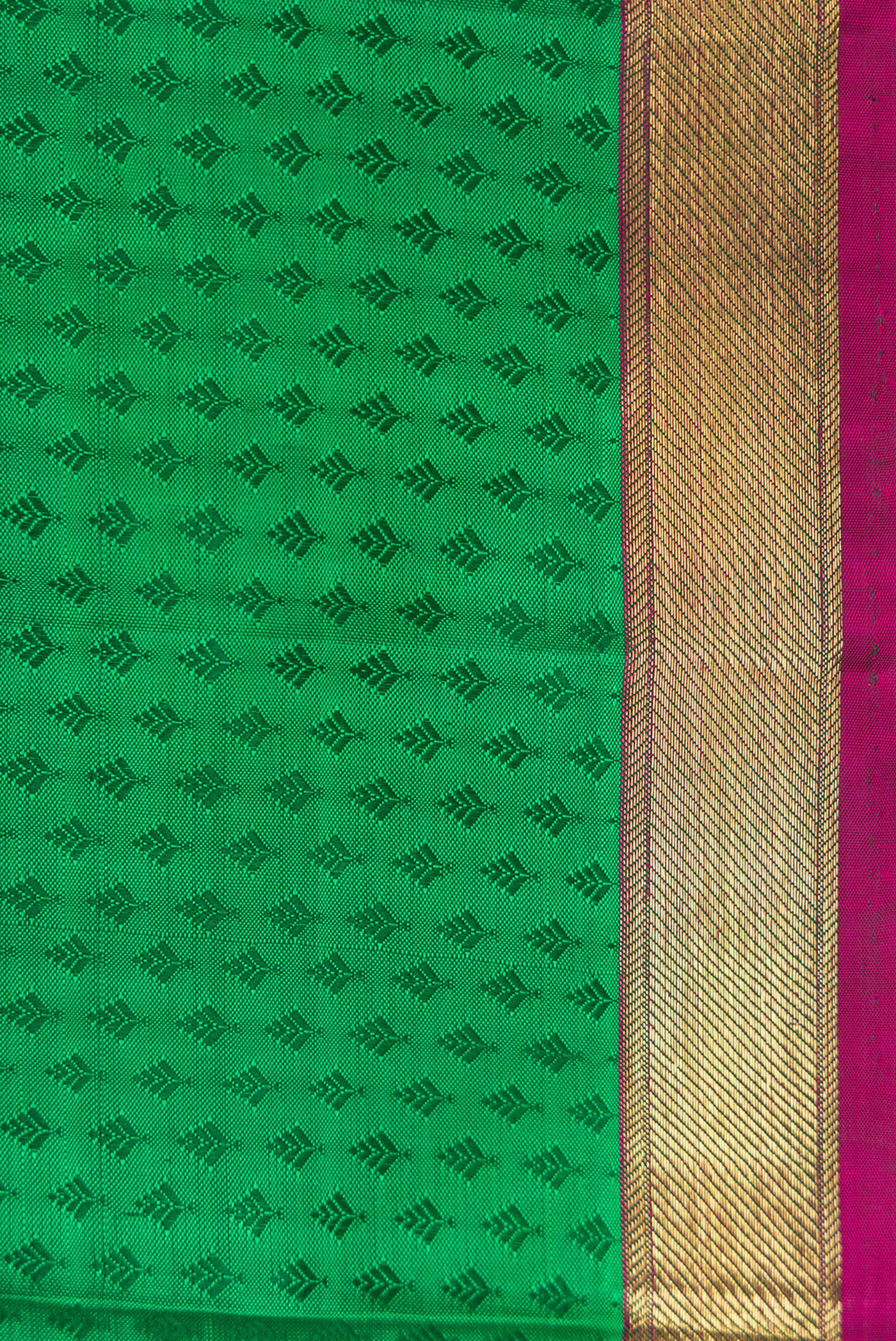 Border image of Green Dual Tone Kanchipuram Silk Saree with Jacquard design on the body and Zari Border. 