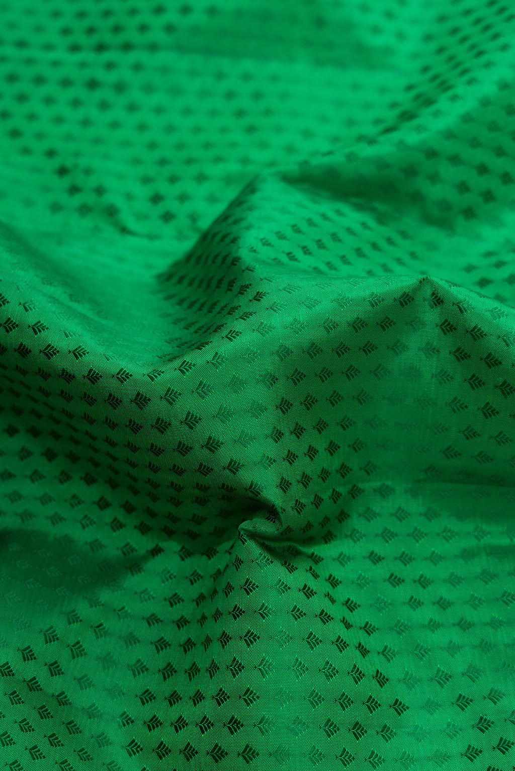 Close up of Green Dual Tone Kanchipuram Silk Saree with Jacquard design on the body and Zari Border.  displaying folds