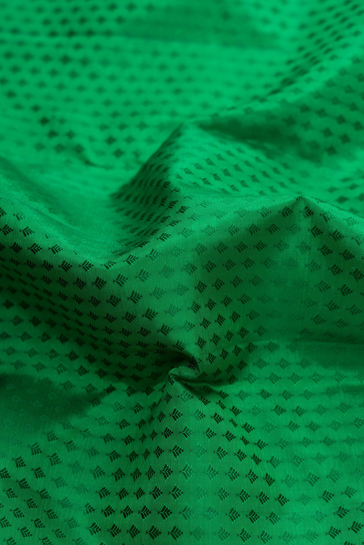 Close up of Green Dual Tone Kanchipuram Silk Saree with Jacquard design on the body and Zari Border.  displaying folds