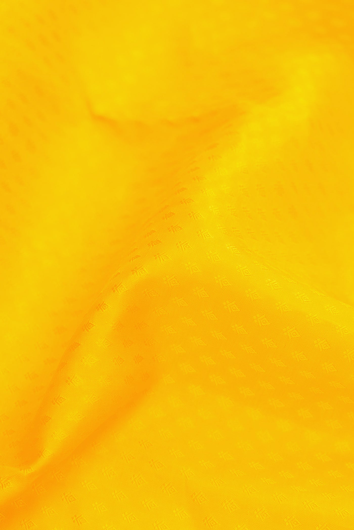 Close up of Yellow Dual Tone Kanjivaram Silk Saree with Jacquard design on the body and Zari Border.  displaying folds