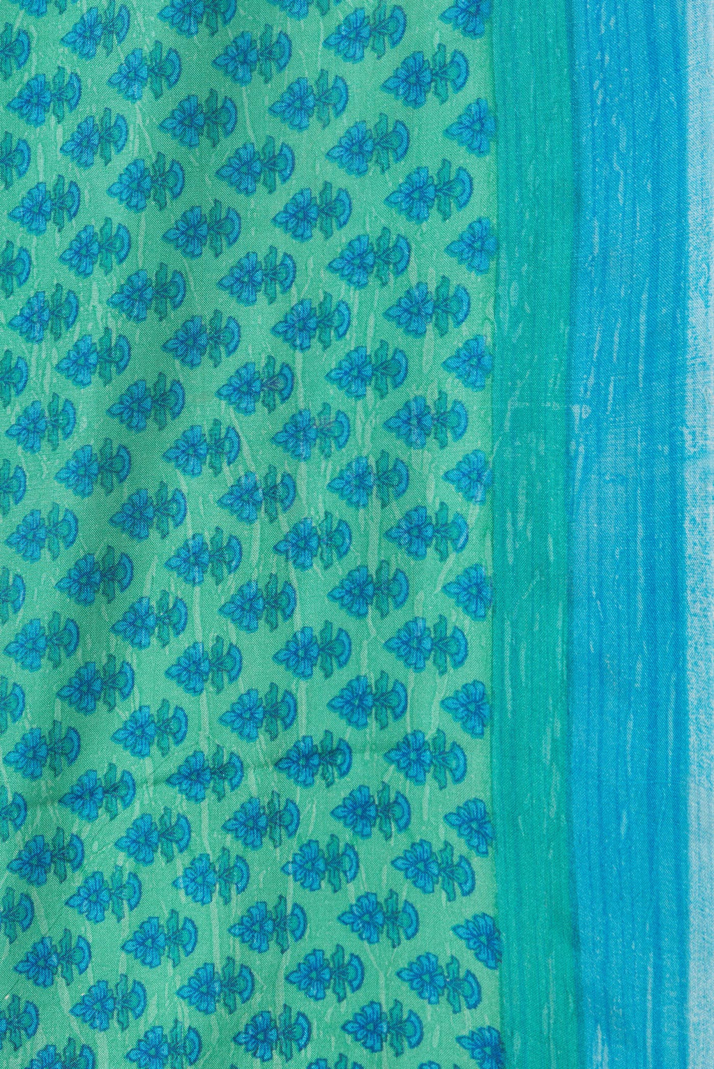 Border image of Green Dual Tone Printed Silk Saree with Printed design on the body and Plain Border. 