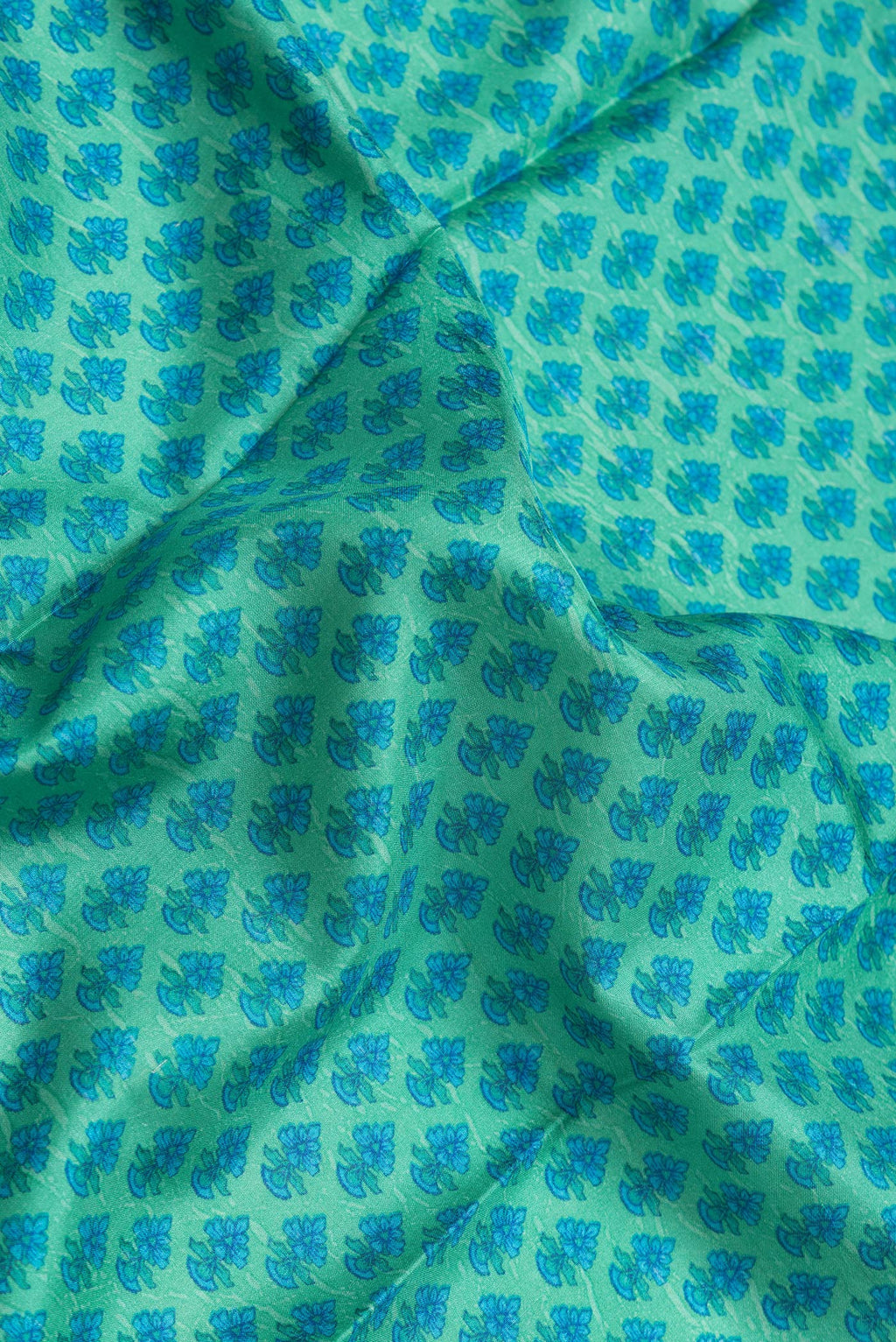 Close up of Green Dual Tone Printed Silk Saree with Printed design on the body and Plain Border.  displaying folds