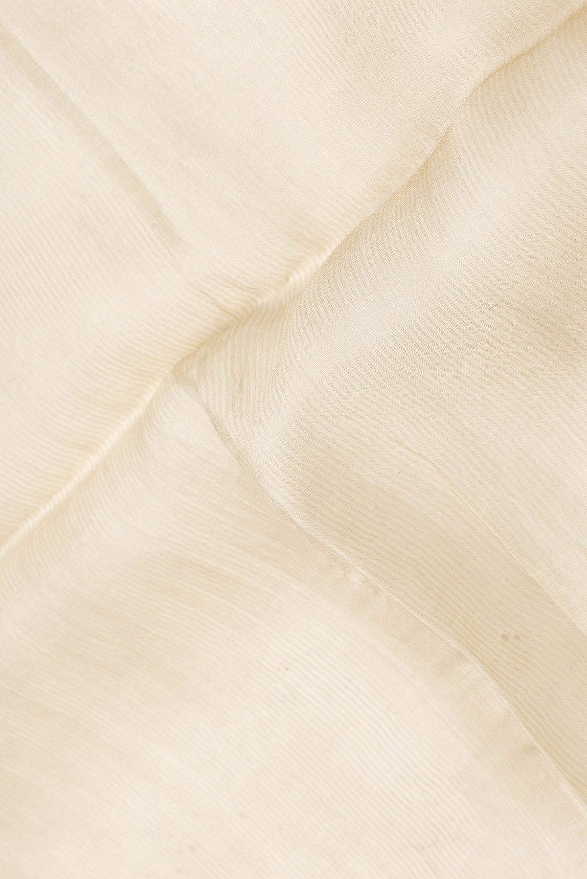 Close up of Beige Dual Tone Tussar Silk Saree with Plain Body and Printed Border.  displaying folds