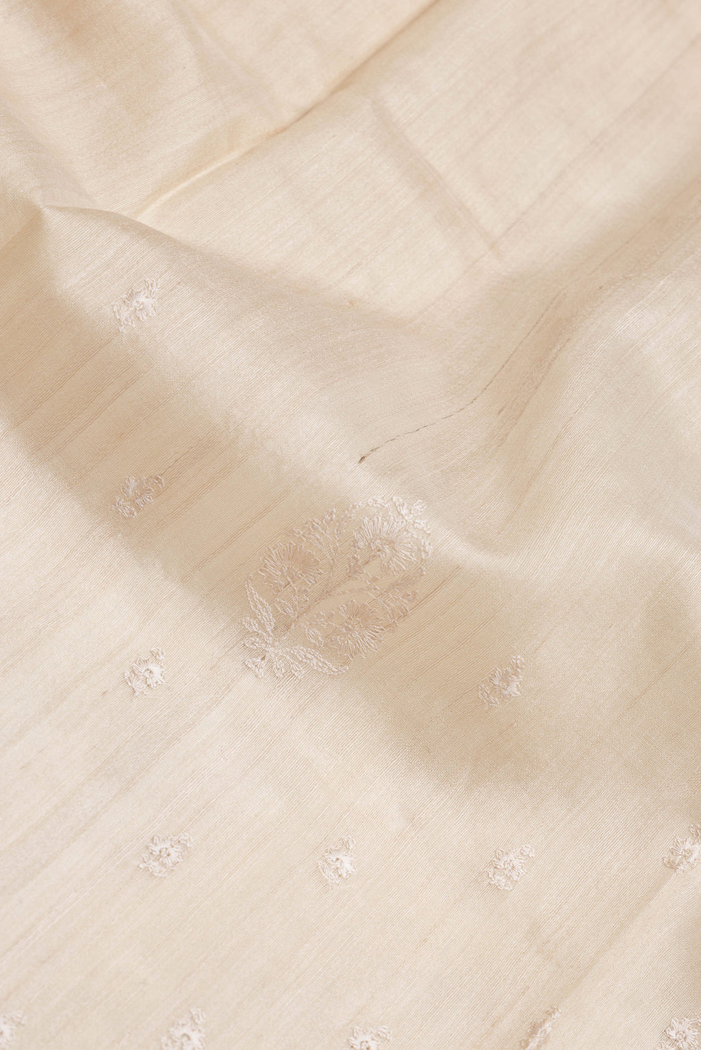 Close up of Beige Dual Tone Tussar Silk Saree with Embroidery on the body and Zari Border.  displaying folds