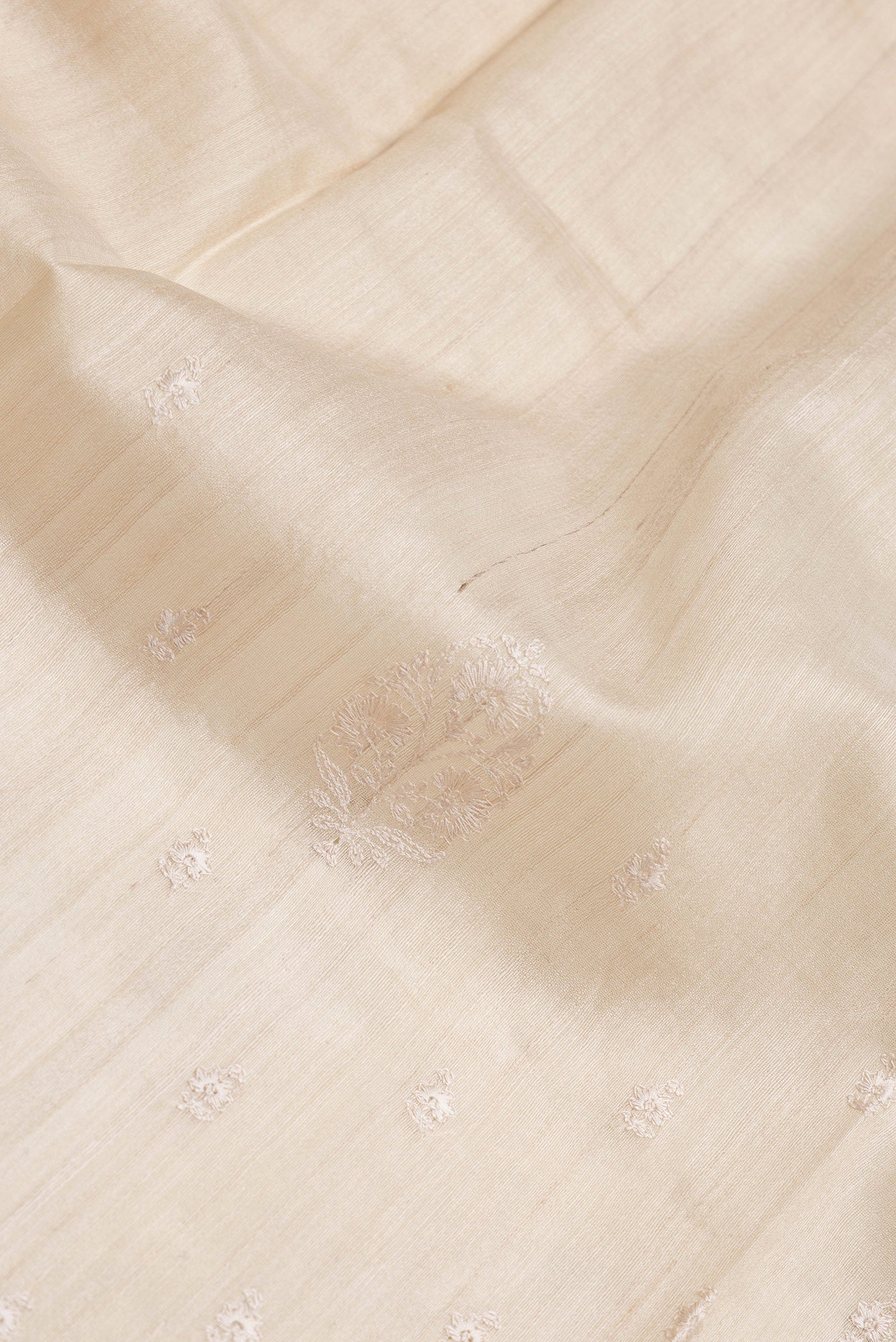 Close up of Beige Dual Tone Tussar Silk Saree with Embroidery on the body and Zari Border.  displaying folds