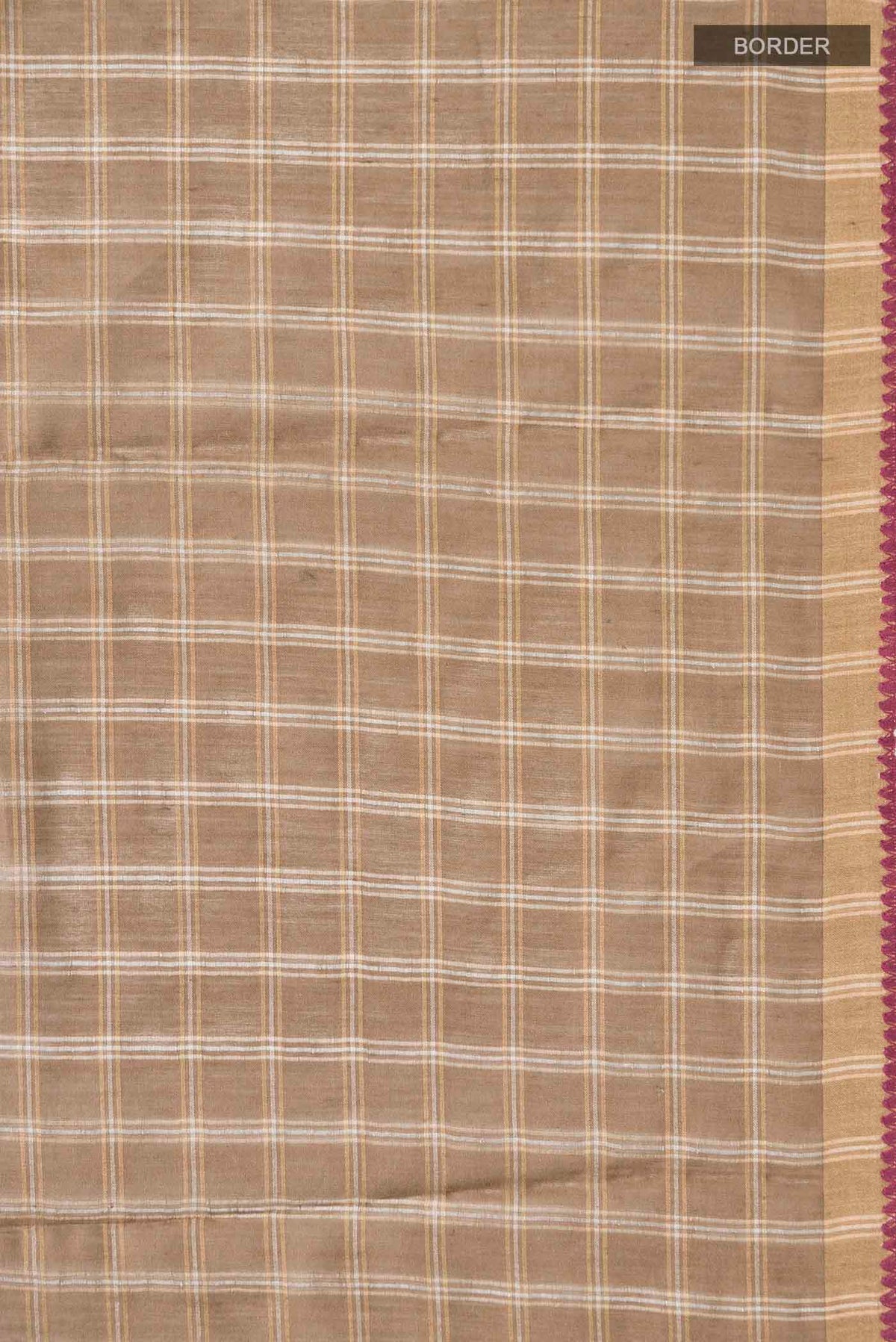 Border image of Beige Tussar Silk Saree with Checked design on the body and Zari Border
